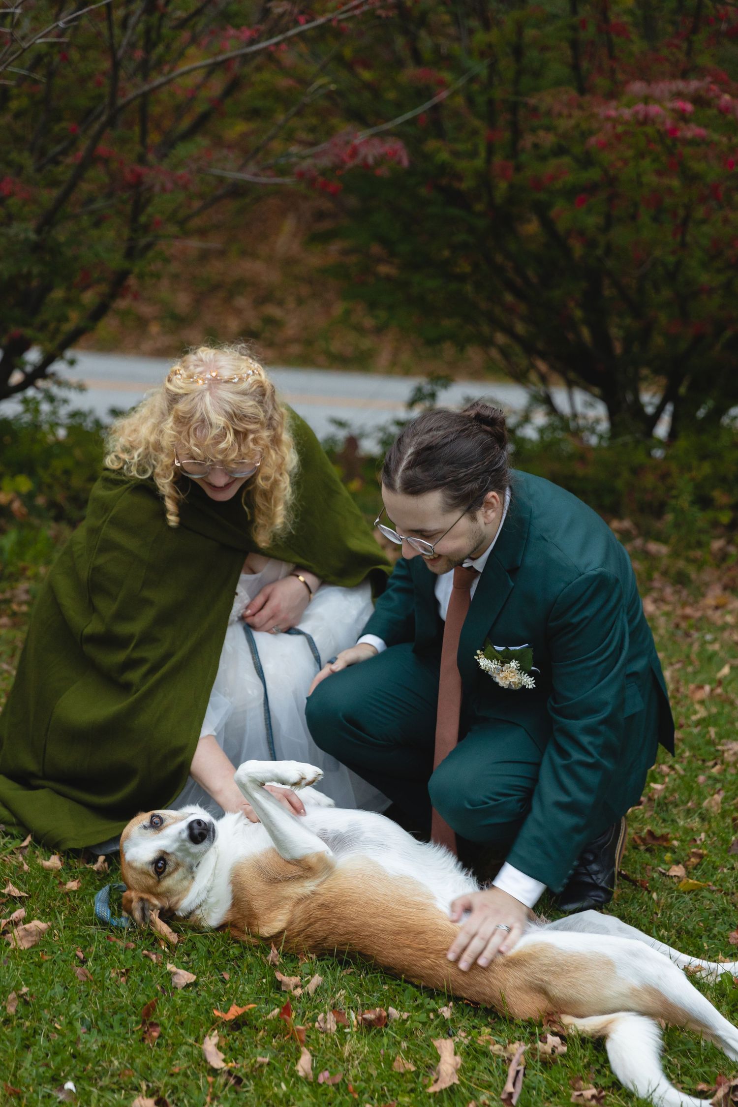 Couple in formal wear playing with their happy dog on autumn grass.