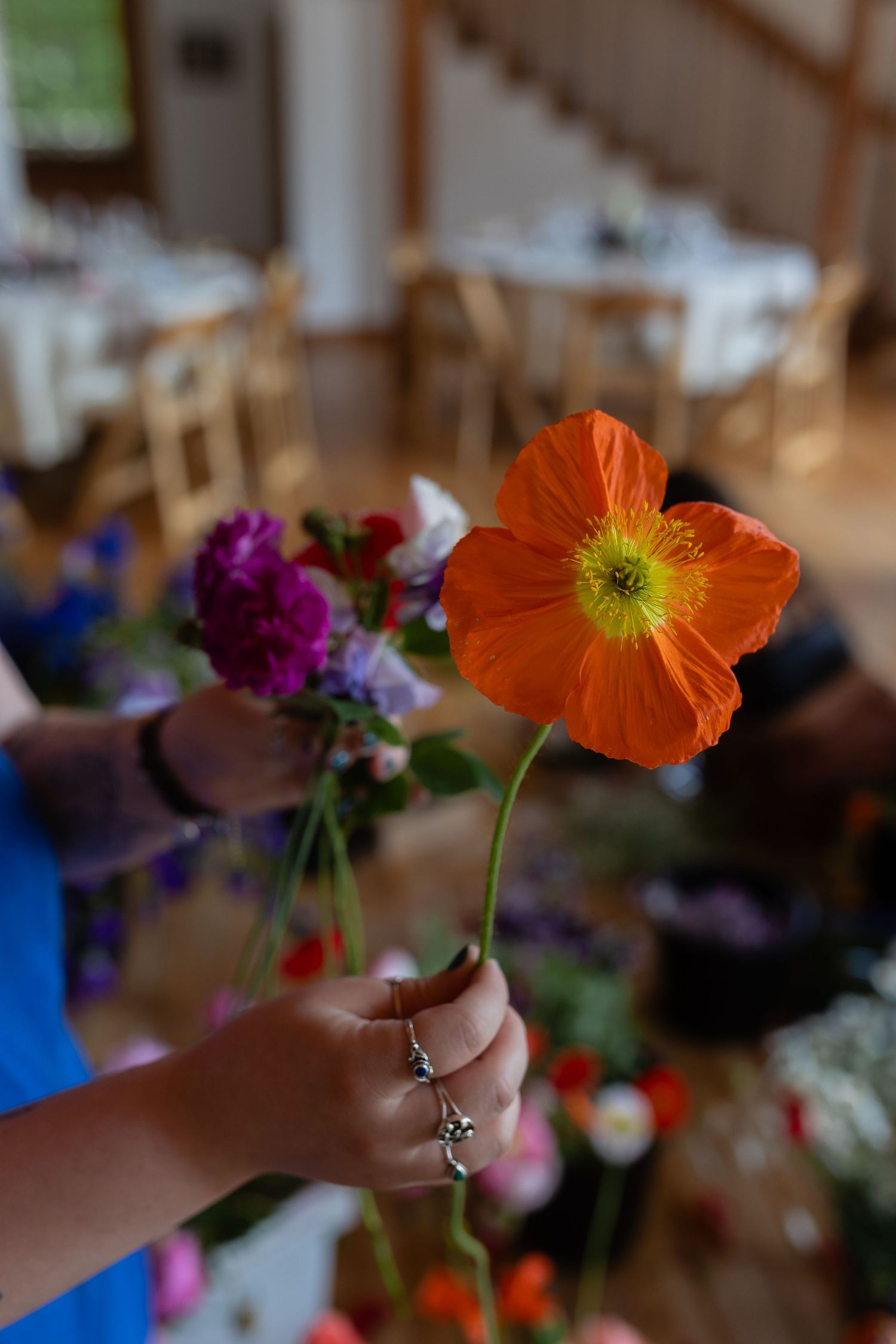 Hand holding a delicate orange poppy flower against a blurred interior background.