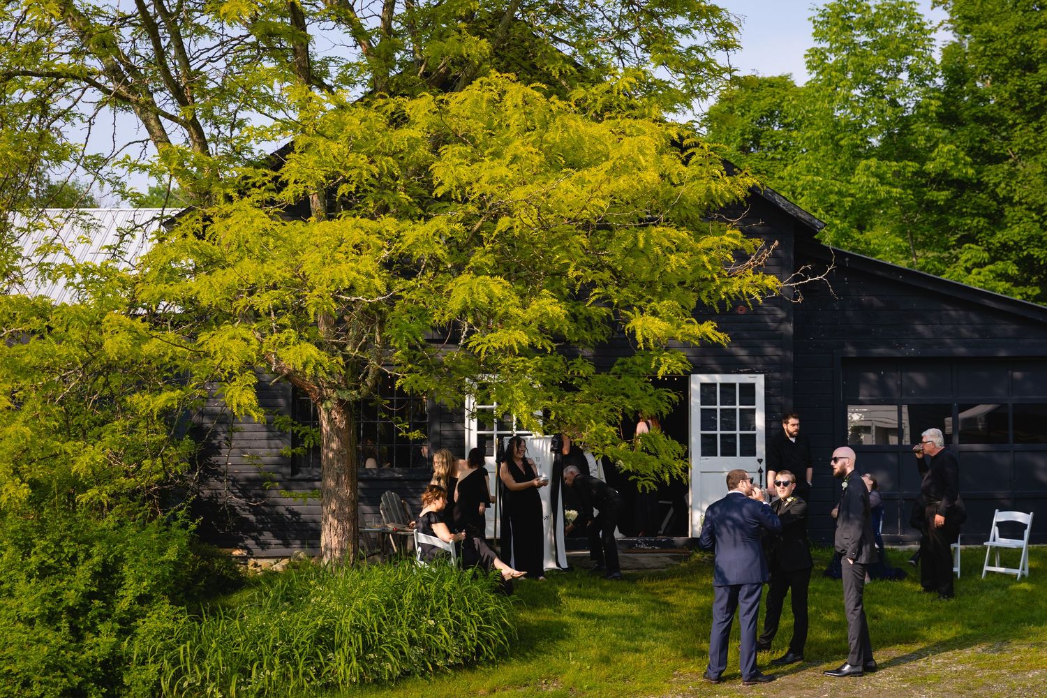 A gathering of people outside a black barn with a bright yellow tree in spring creating a beautiful contrast.