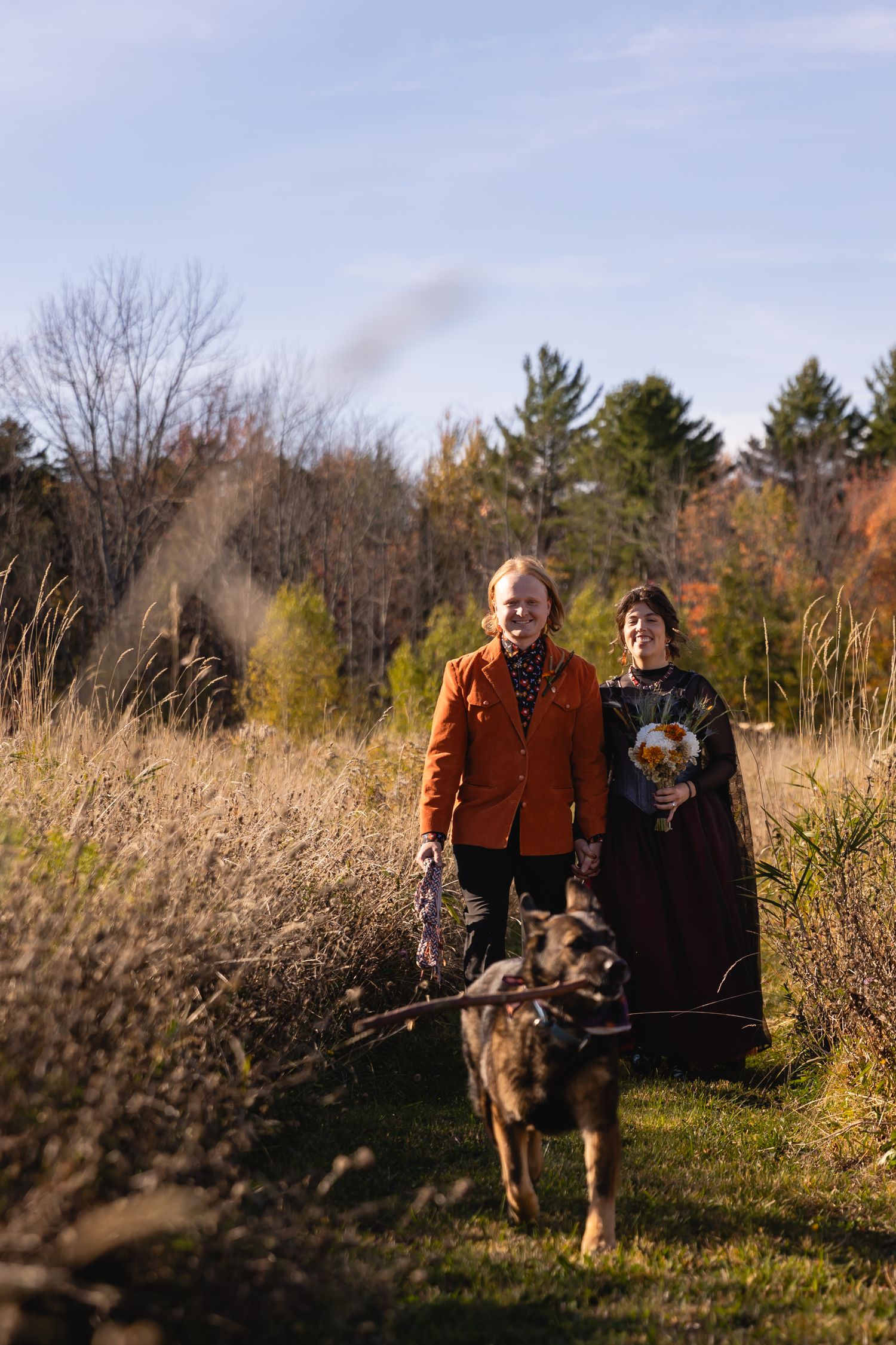 Two people walk together through a golden autumn field with evergreen trees in the background during sunset.