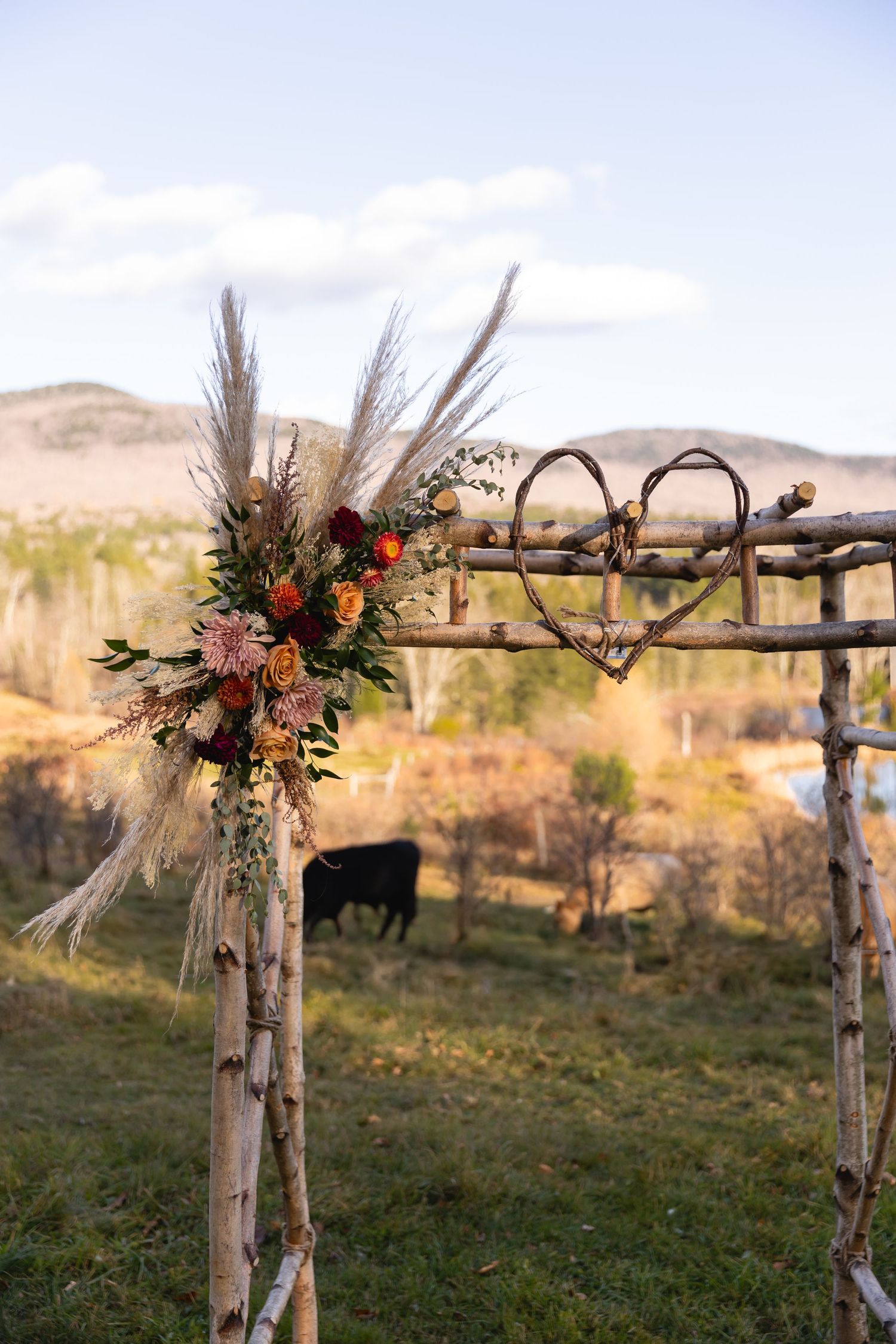 Rustic wooden wedding arch decorated with pampas grass and fall flowers stands in a pastoral field with mountains beyond.