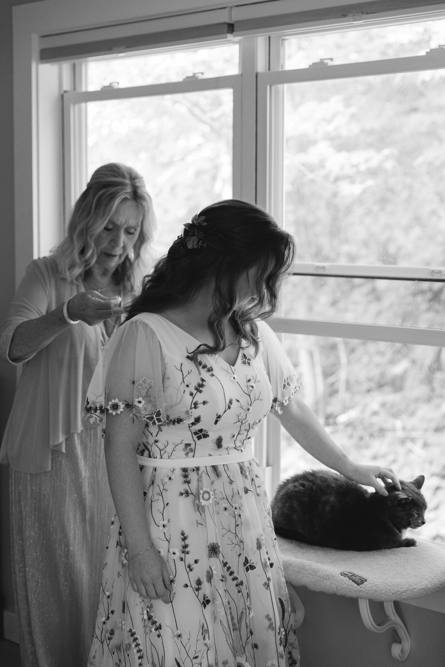 A series of black and white photos showing tender moments between a person and a cat by a window.