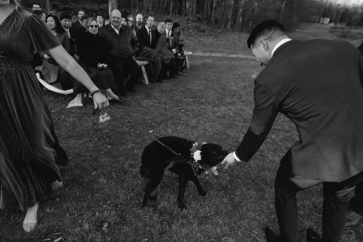 A black and white photo shows people gathered outdoors as someone pets a dog at a social gathering.