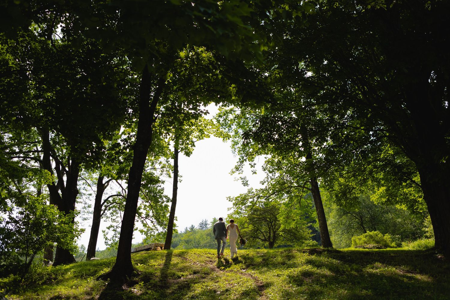 Bride and groom walk hand-in-hand through a sunlit green forest on their wedding day.