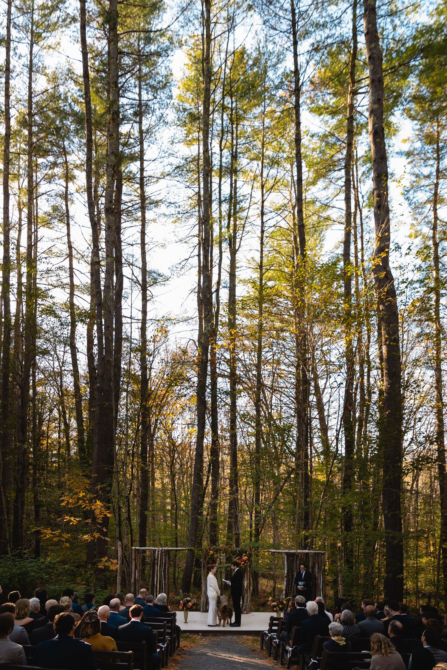 Outdoor forest wedding ceremony with tall trees, guests seated, and couple at a minimalist altar.