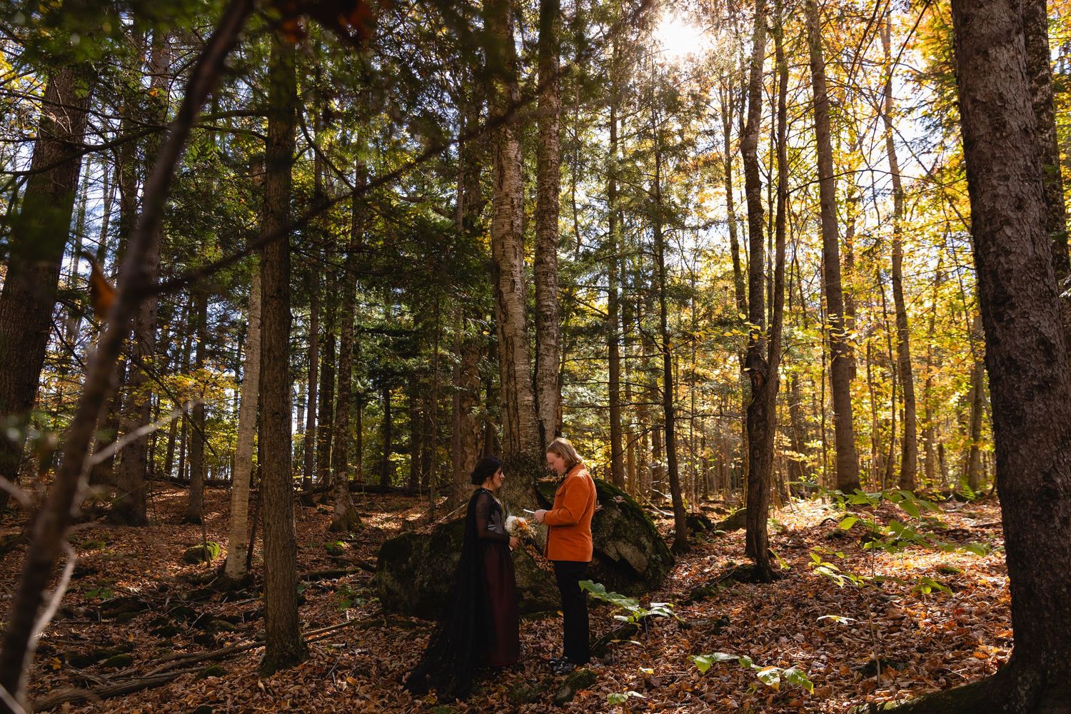 Sunlight streams through autumn forest trees as someone in orange clothing stands among fallen leaves and tall trunks.