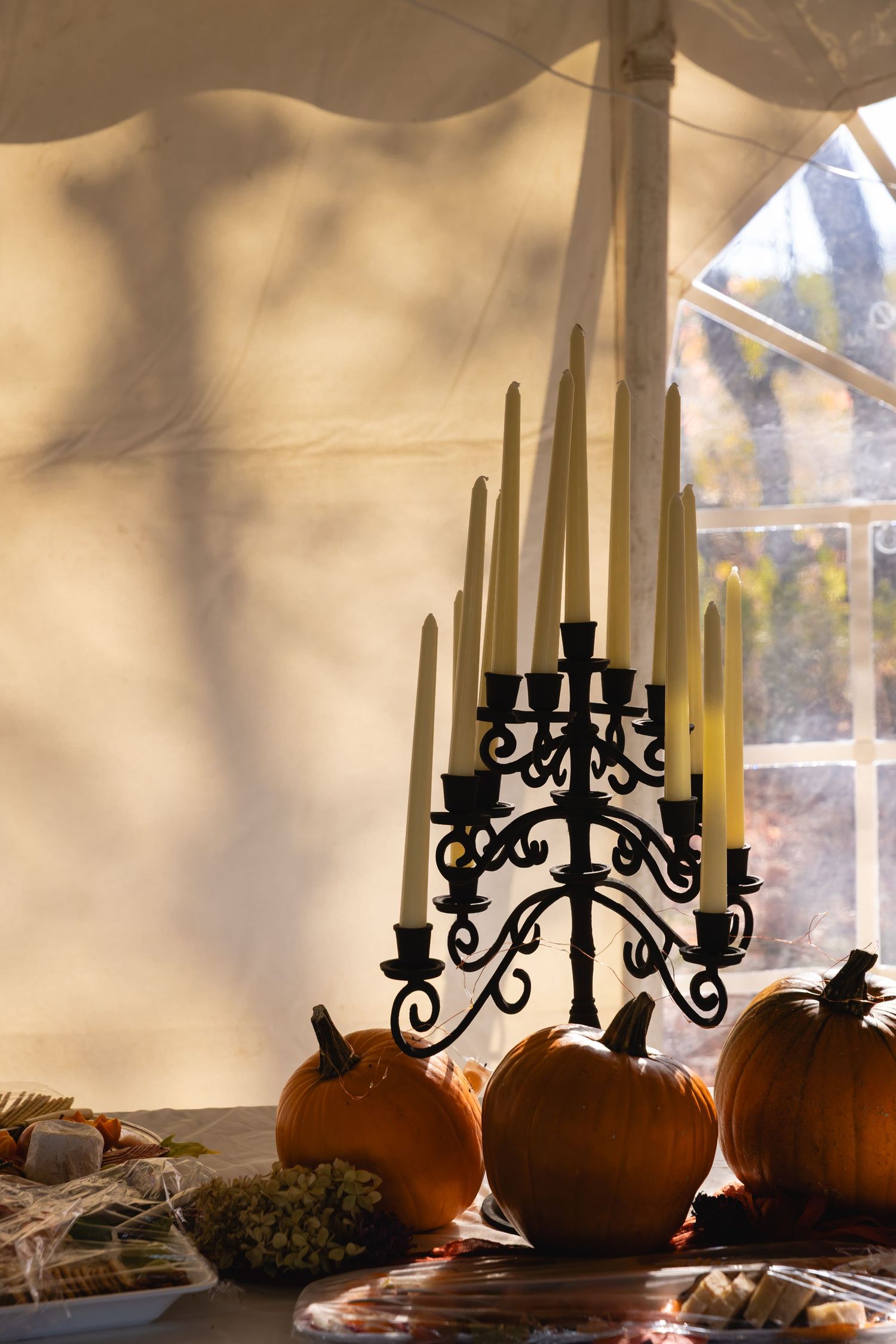 A wrought iron candelabra stands elegantly among autumn pumpkins near a sunlit window with sheer curtains.