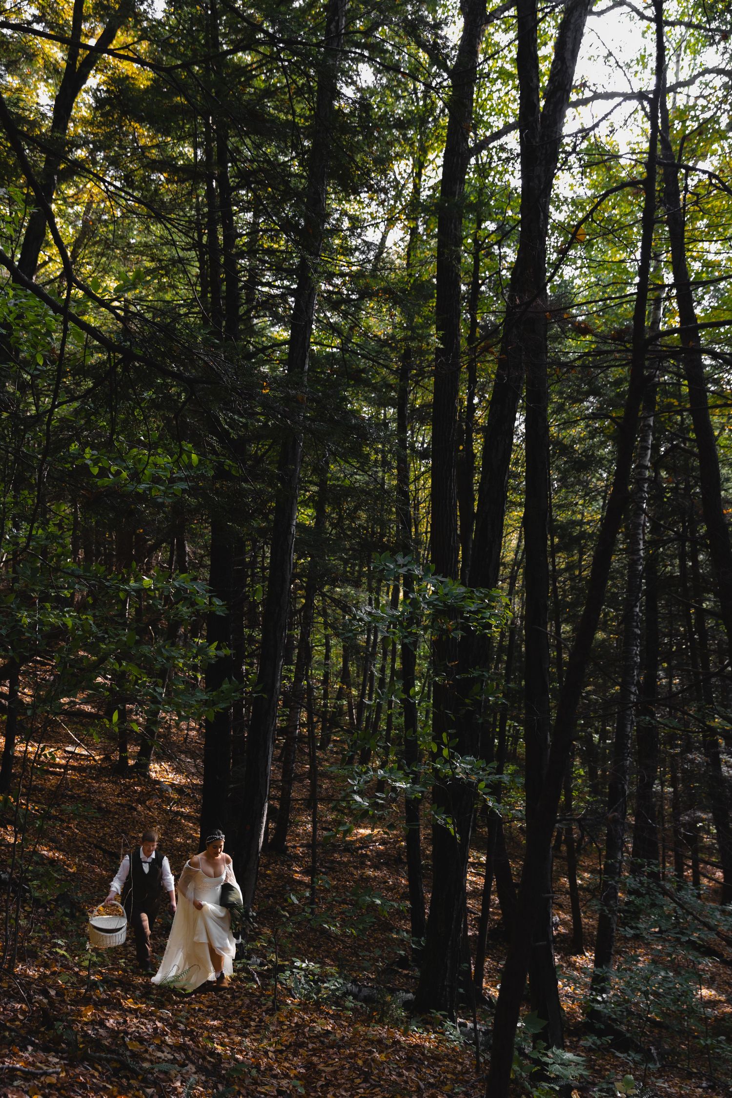 A couple in formal attire walks through a sunlit autumn forest with tall trees.