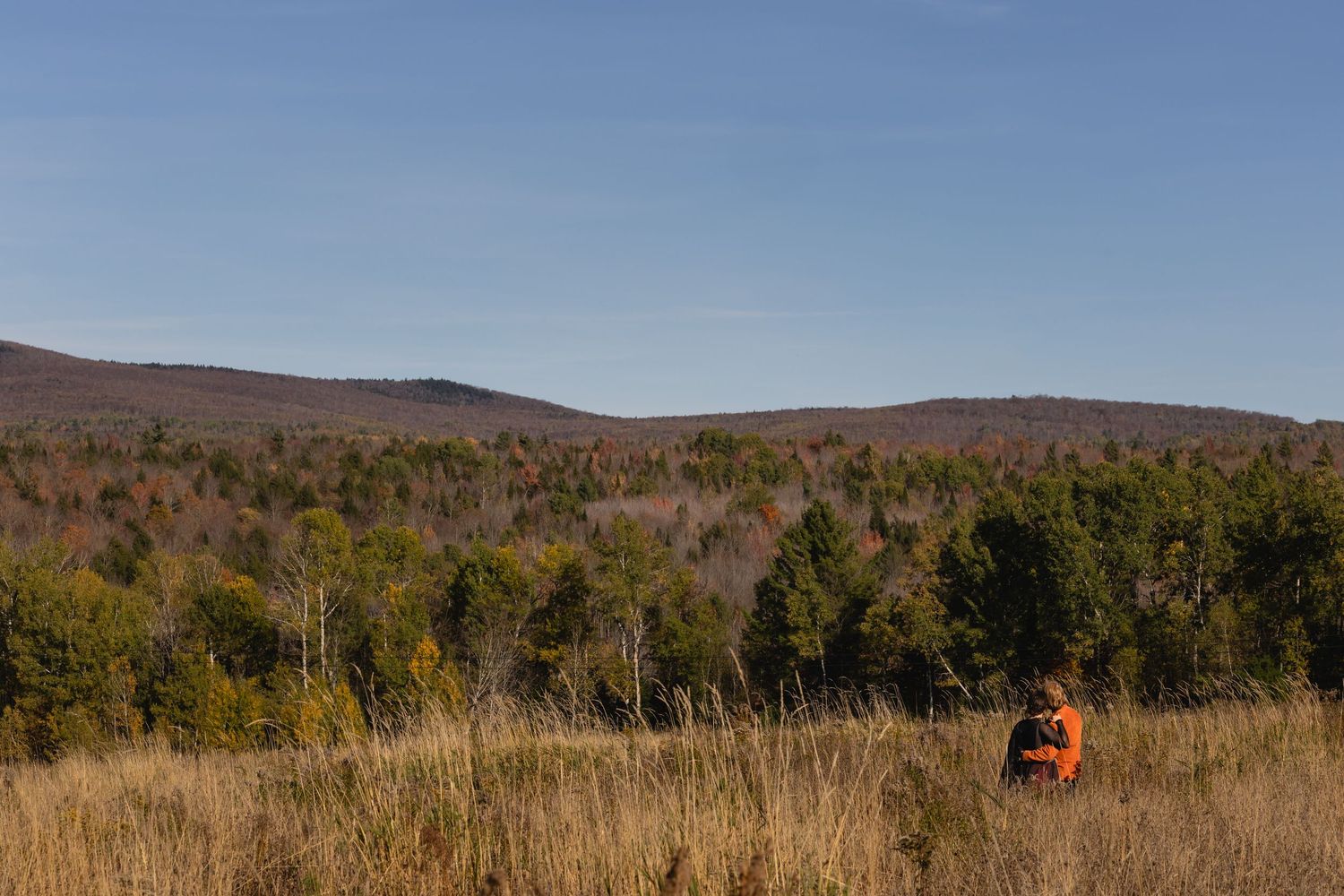 Scenic panorama of rolling autumn hills with orange hunting gear visible in the distant field against fall foliage.