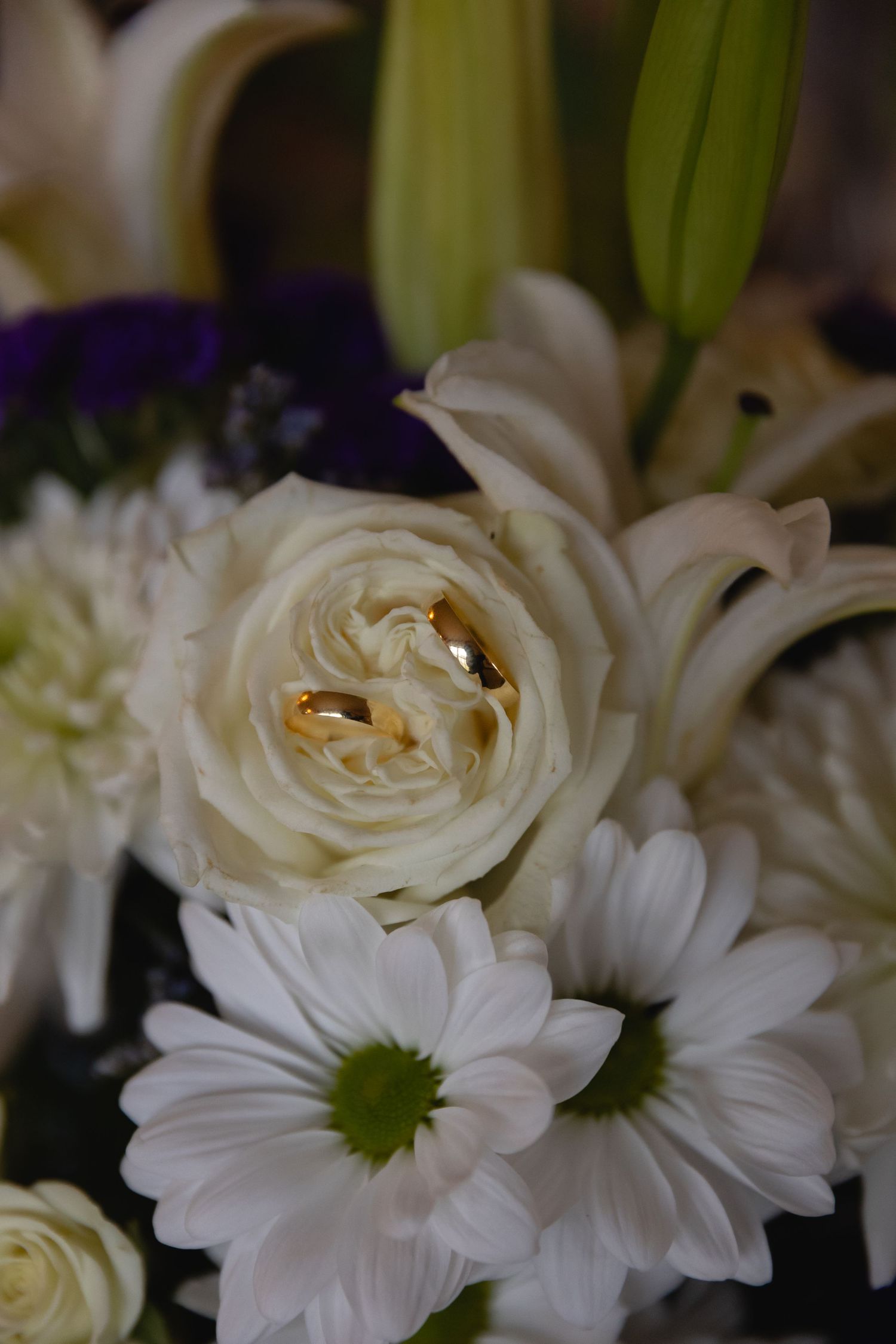 A close-up of white roses and daisies in a floral arrangement with a green lily stem visible in the background.