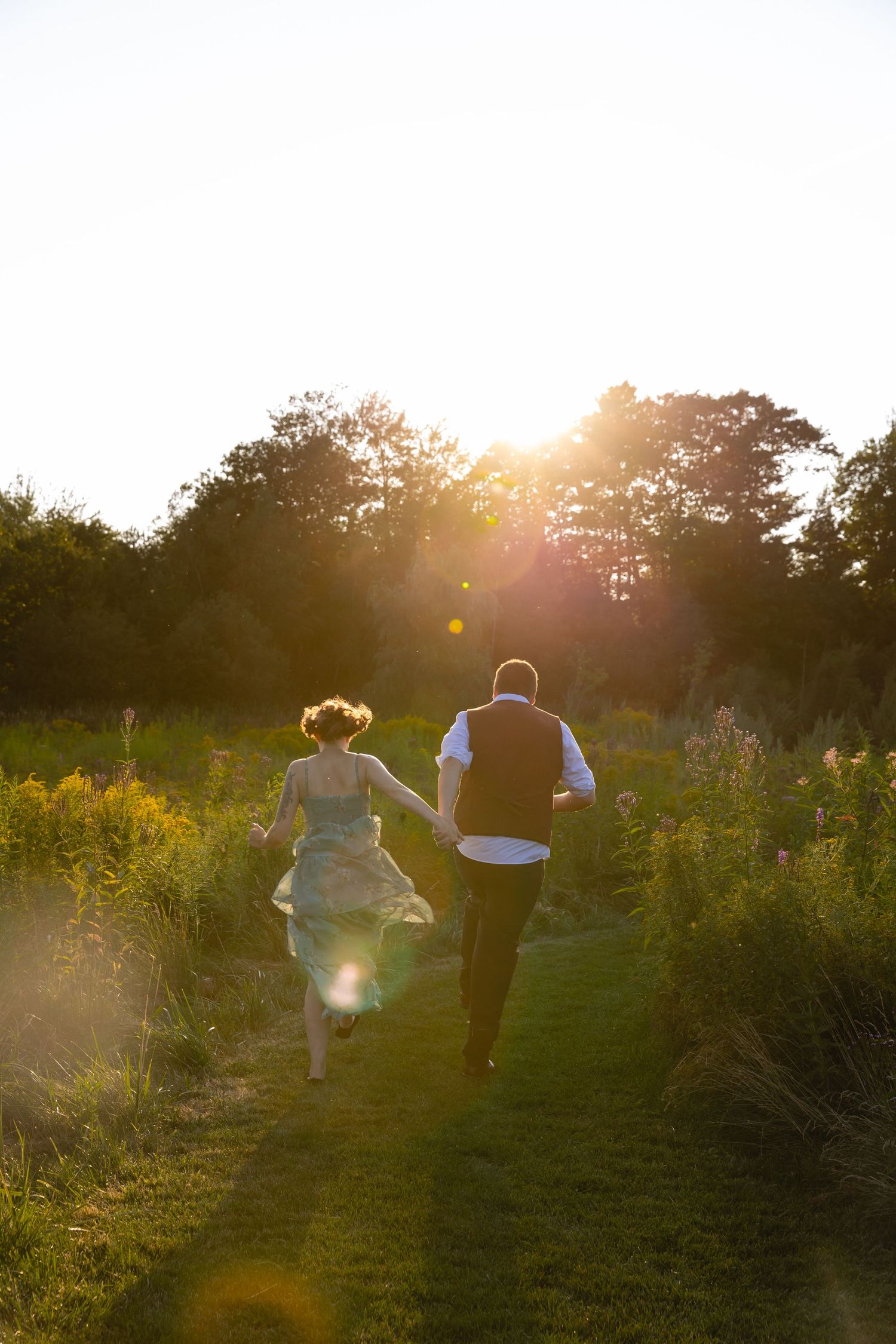 Silhouettes of people walking through a golden meadow at sunset with lens flare and evergreen trees in background.
