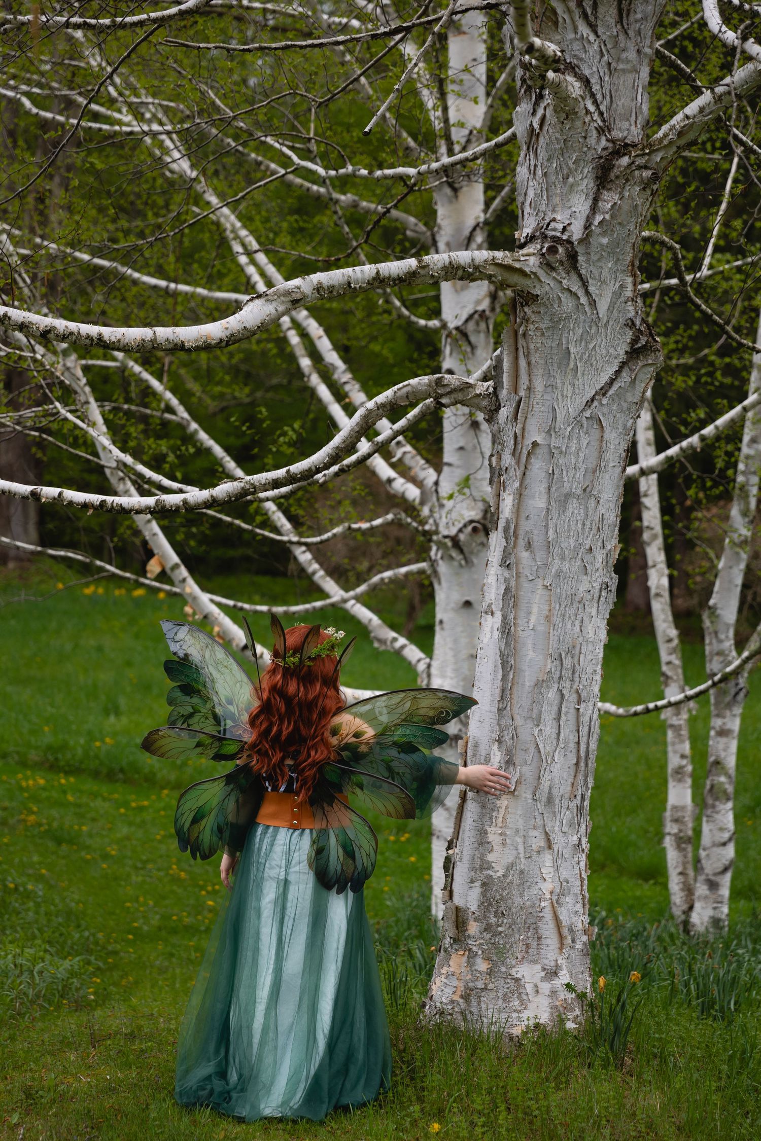 Woman dressed as a forest fairy with green wings and teal gown touches a white birch tree.