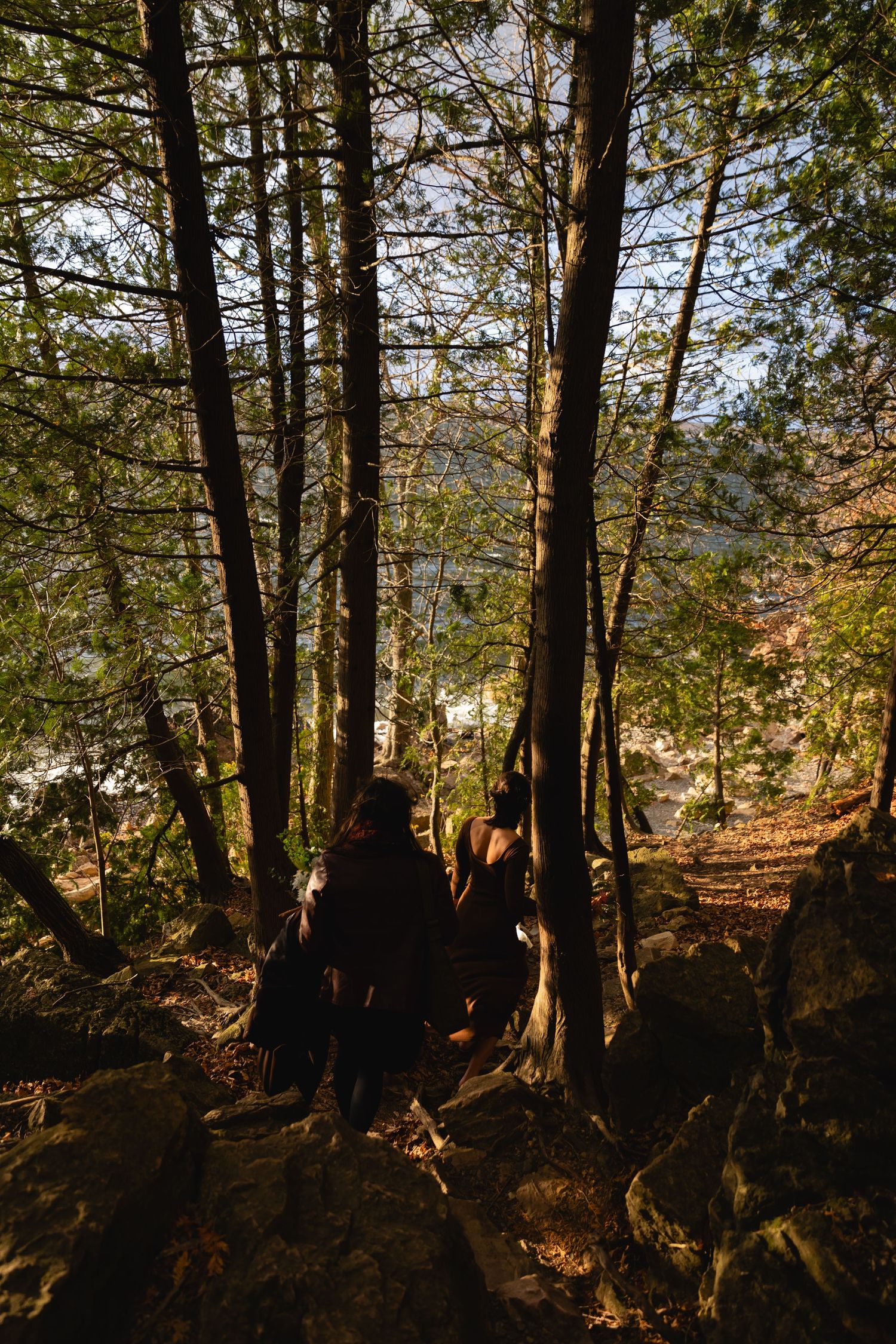Silhouetted figures stand among tall trees on a forested trail during golden hour sunlight.