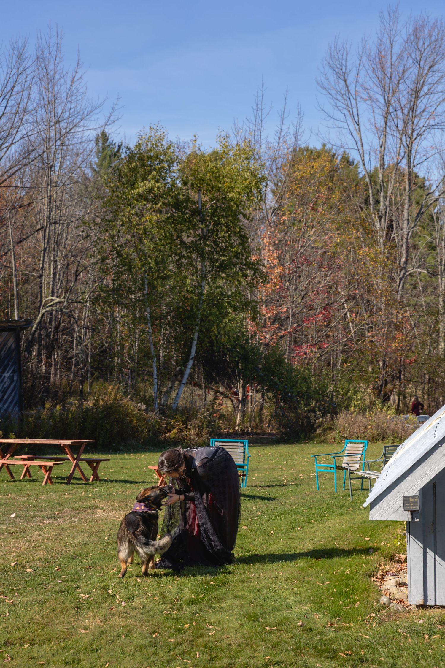 A scenic backyard campsite with picnic tables and chairs surrounded by autumn trees and a small white structure.