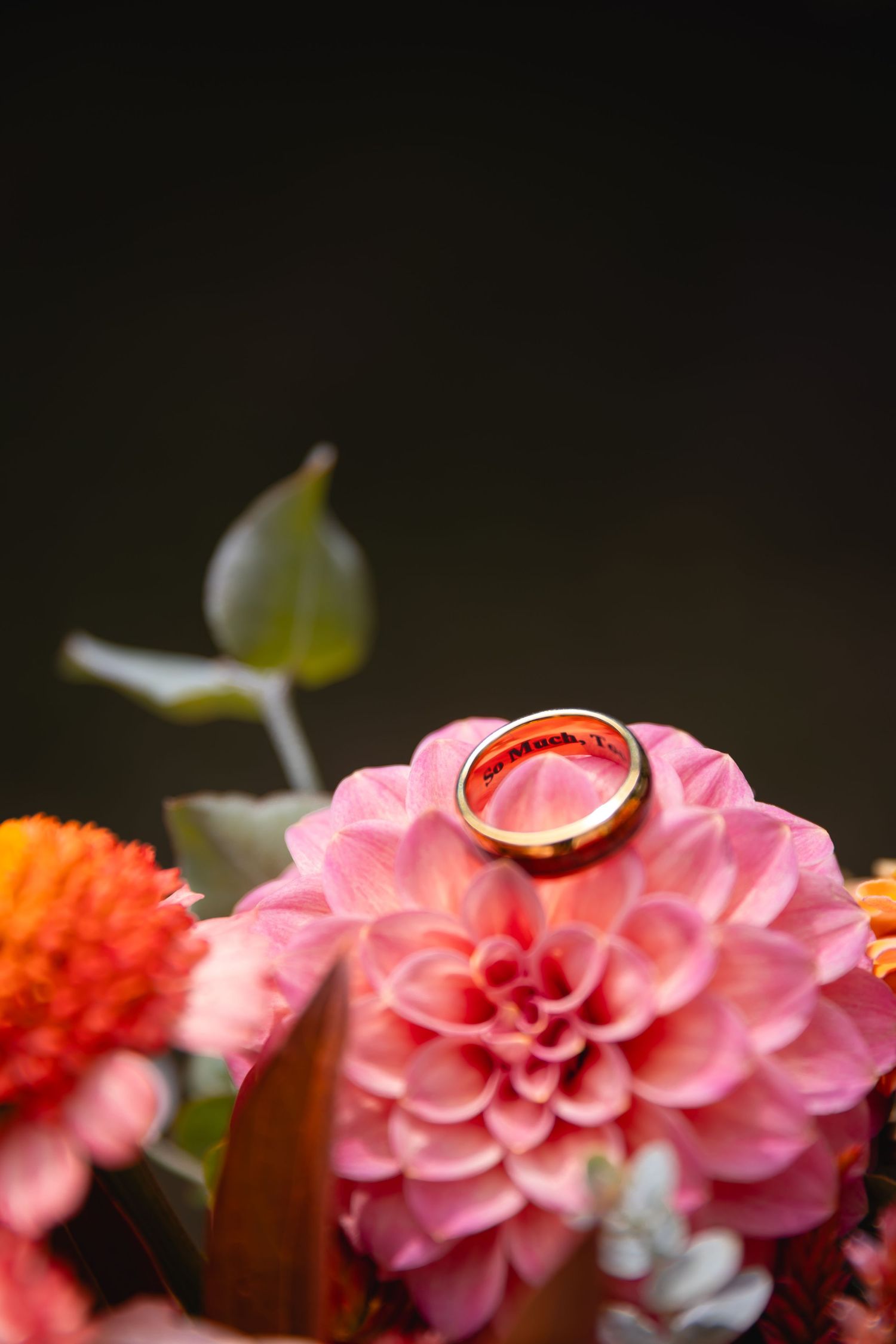 A gold wedding ring rests delicately on top of a pink dahlia flower with orange blooms in the background.