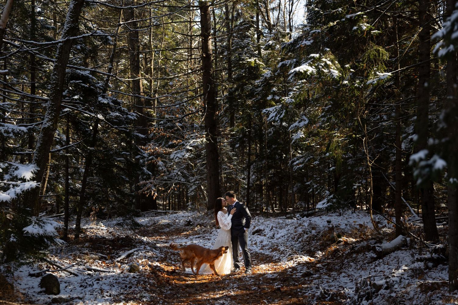 Couple embraces in a snowy winter forest with their golden dog on a sunlit trail.