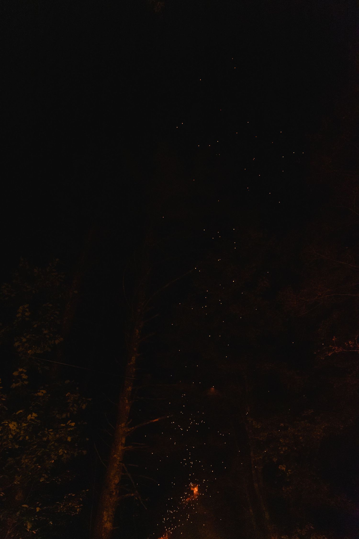 Glowing embers and sparks rise into a dark night sky above a forest campfire.