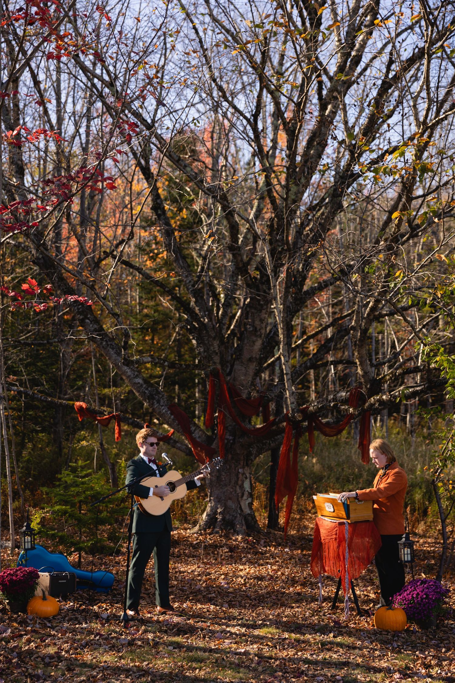 Outdoor autumn scene with pumpkins and red ribbons hanging from bare trees in a leaf-covered yard.