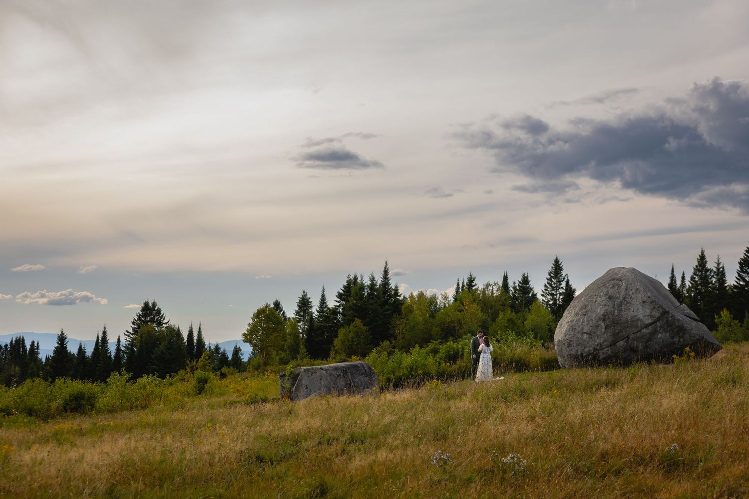 A panoramic mountain landscape with rolling hills, evergreen trees, and scattered boulders under a cloudy sky.