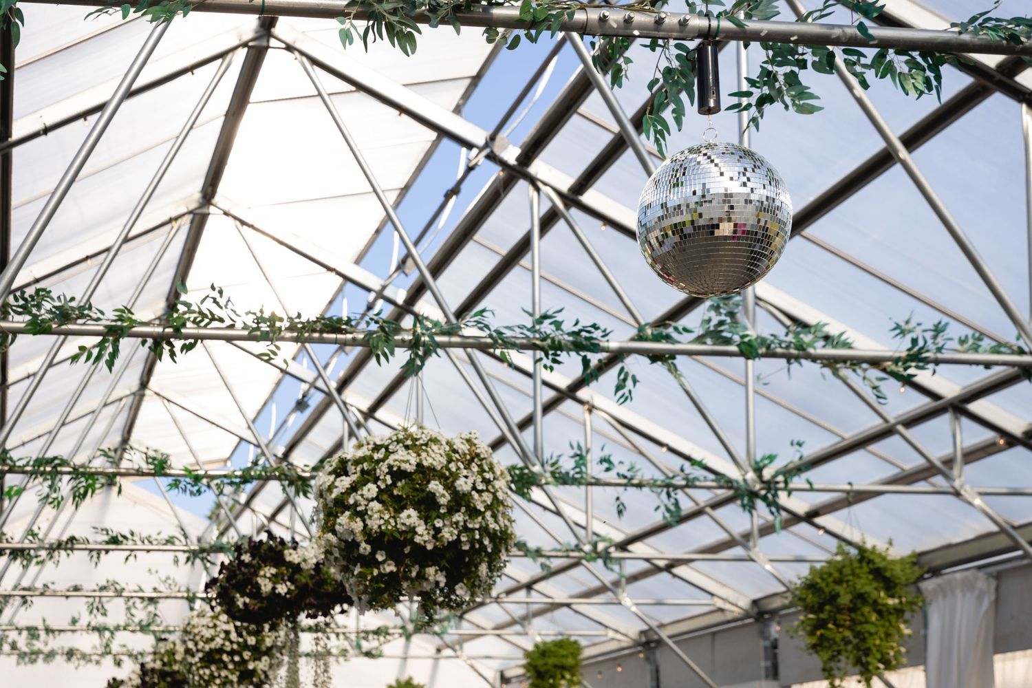Transparent greenhouse-style roof with hanging plants and disco ball creating an indoor-outdoor atmosphere.