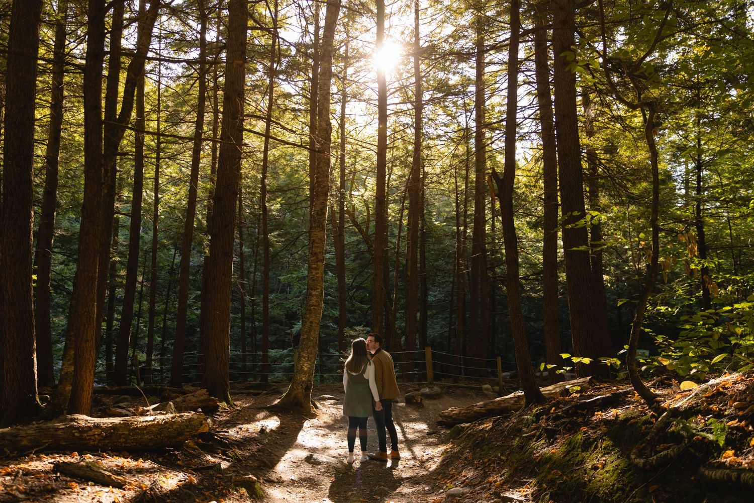 Couple walking hand in hand on a sun-dappled forest path with tall surrounding trees.