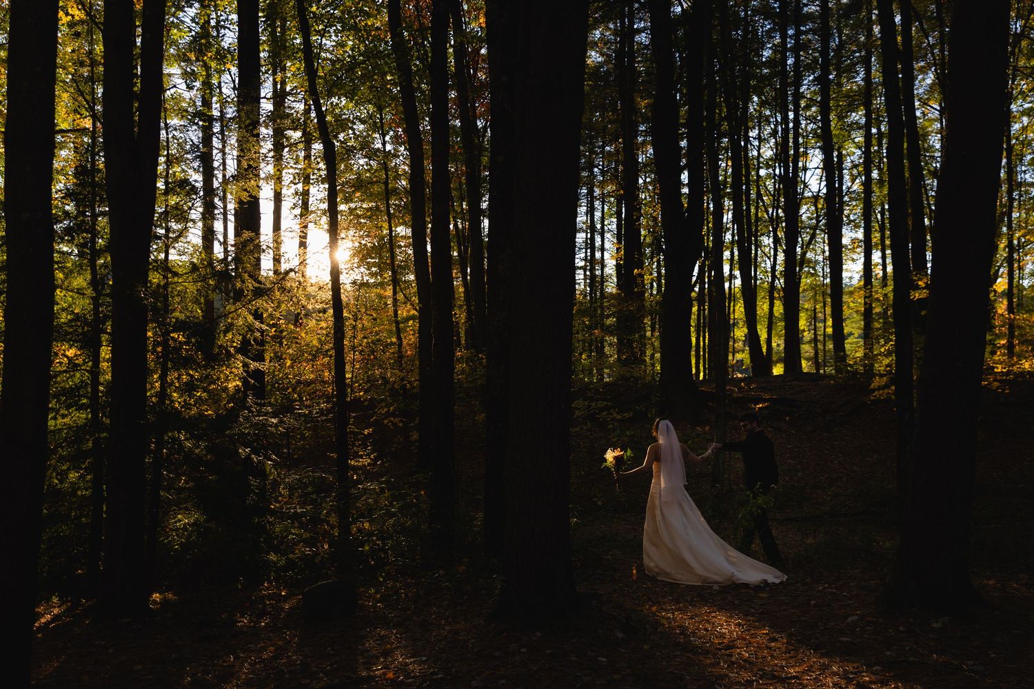 Bride in white gown standing in sunlit forest at golden hour wedding photography.
