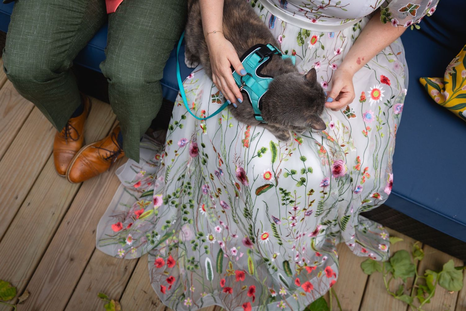 A floral dress and green pants are seen next to each other on wooden decking with a grey cat between them.