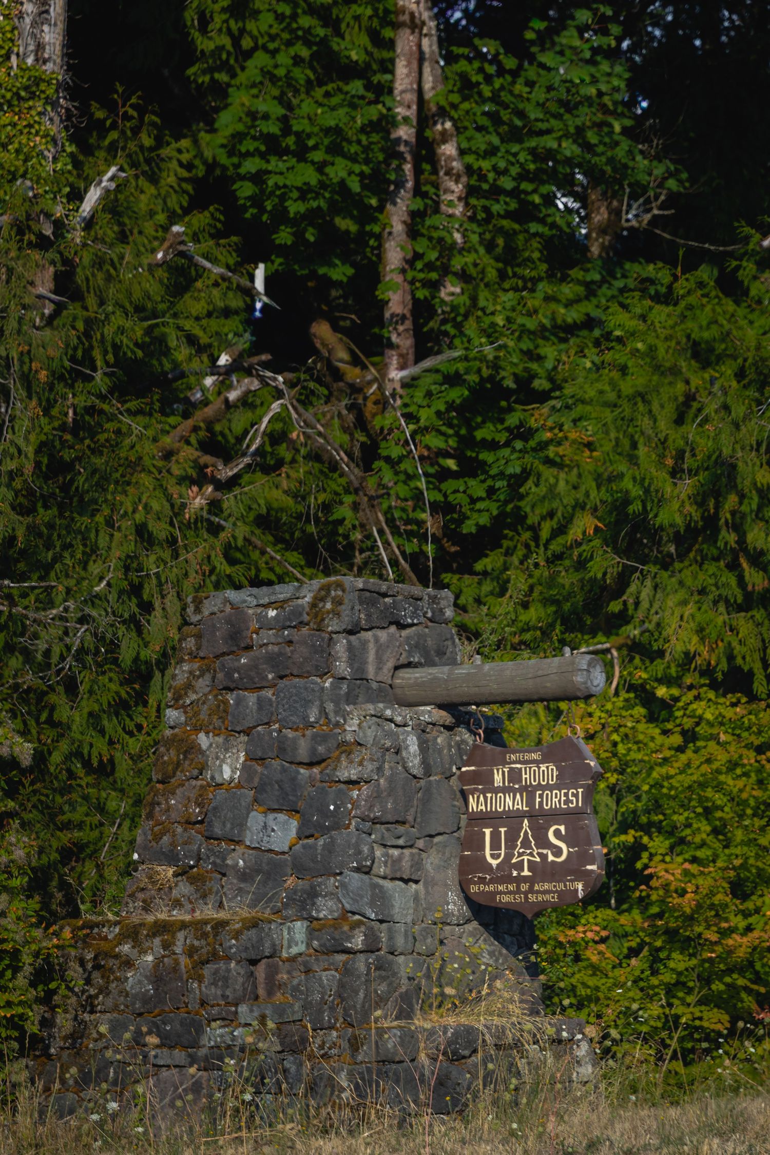 Stone wall entrance sign marks the boundary of a National Forest with trees and foliage in the background.