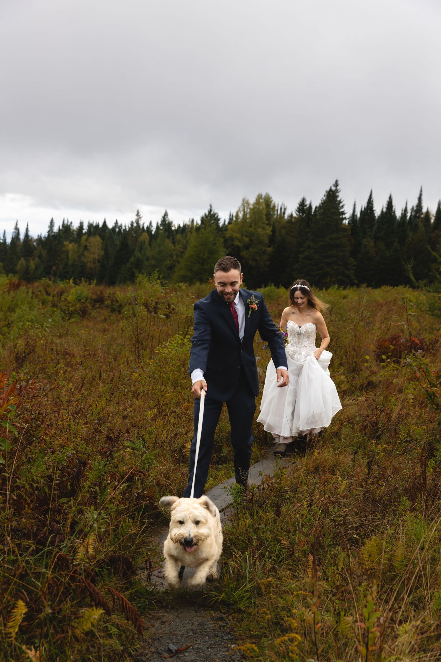 A couple walks their white dog through a mountain meadow in wedding attire on an overcast day.
