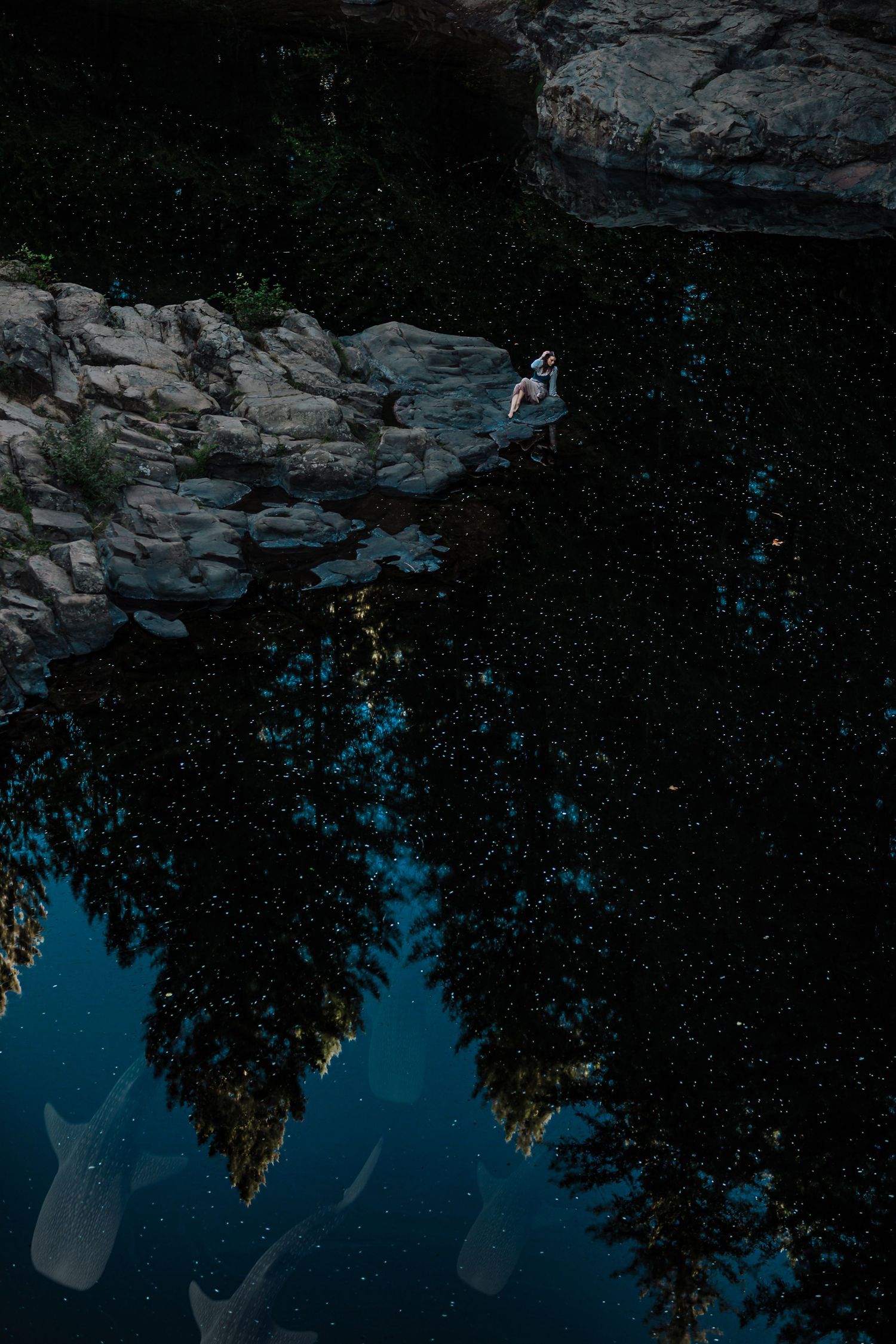 Aerial view of a person sitting on rocky cliffs beside a dark reflective lake surrounded by forest.