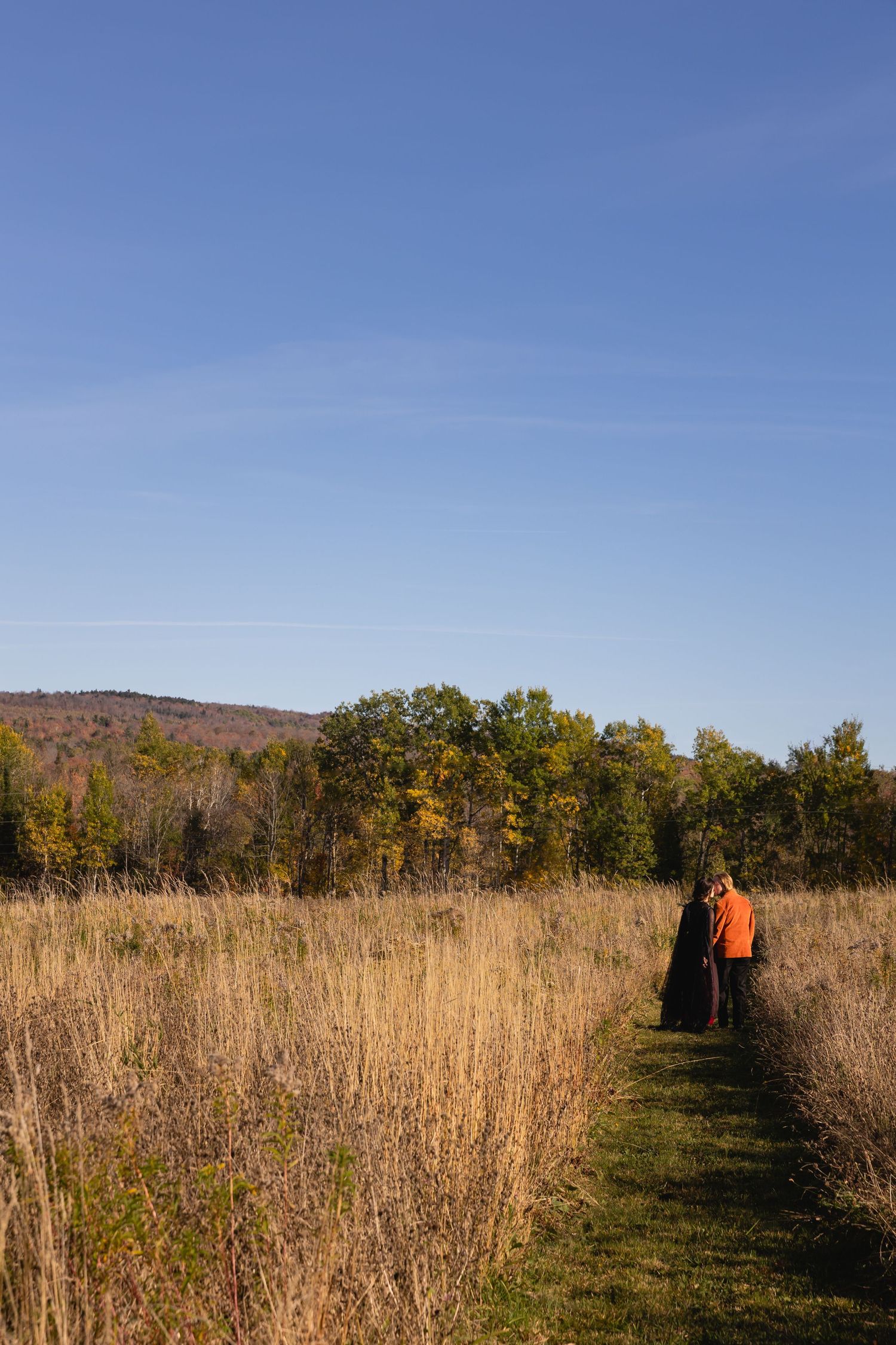 A grassy path through tall autumn prairie grass leads to distant trees and hills under a blue sky.