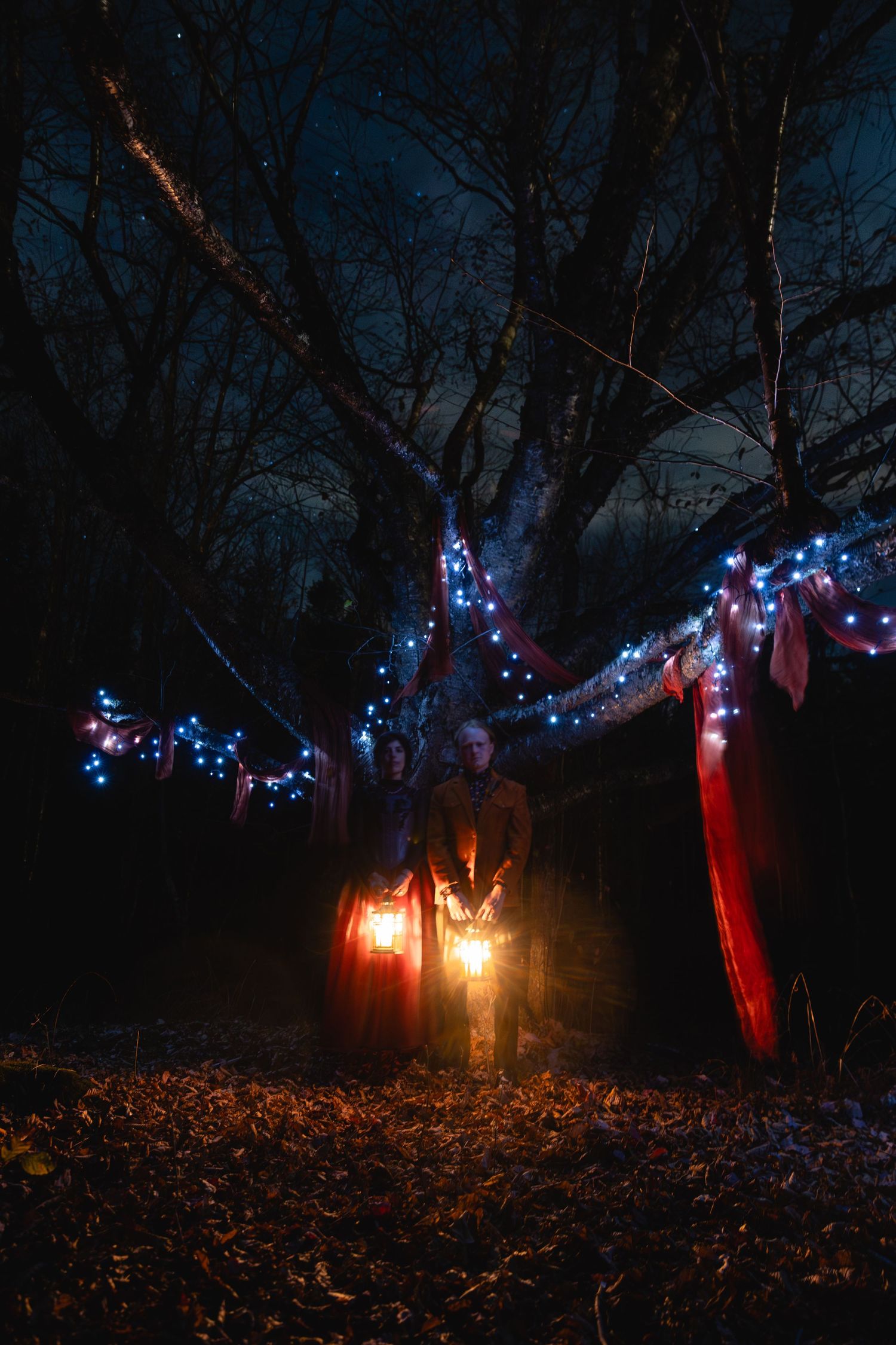 Red and blue Christmas lights illuminate a dark forest floor covered in fallen autumn leaves at night.