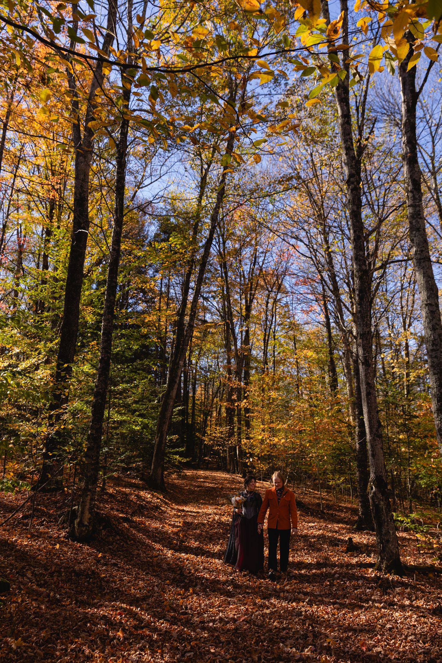 Autumn forest path covered in golden leaves with sunlight filtering through trees on a bright fall day.
