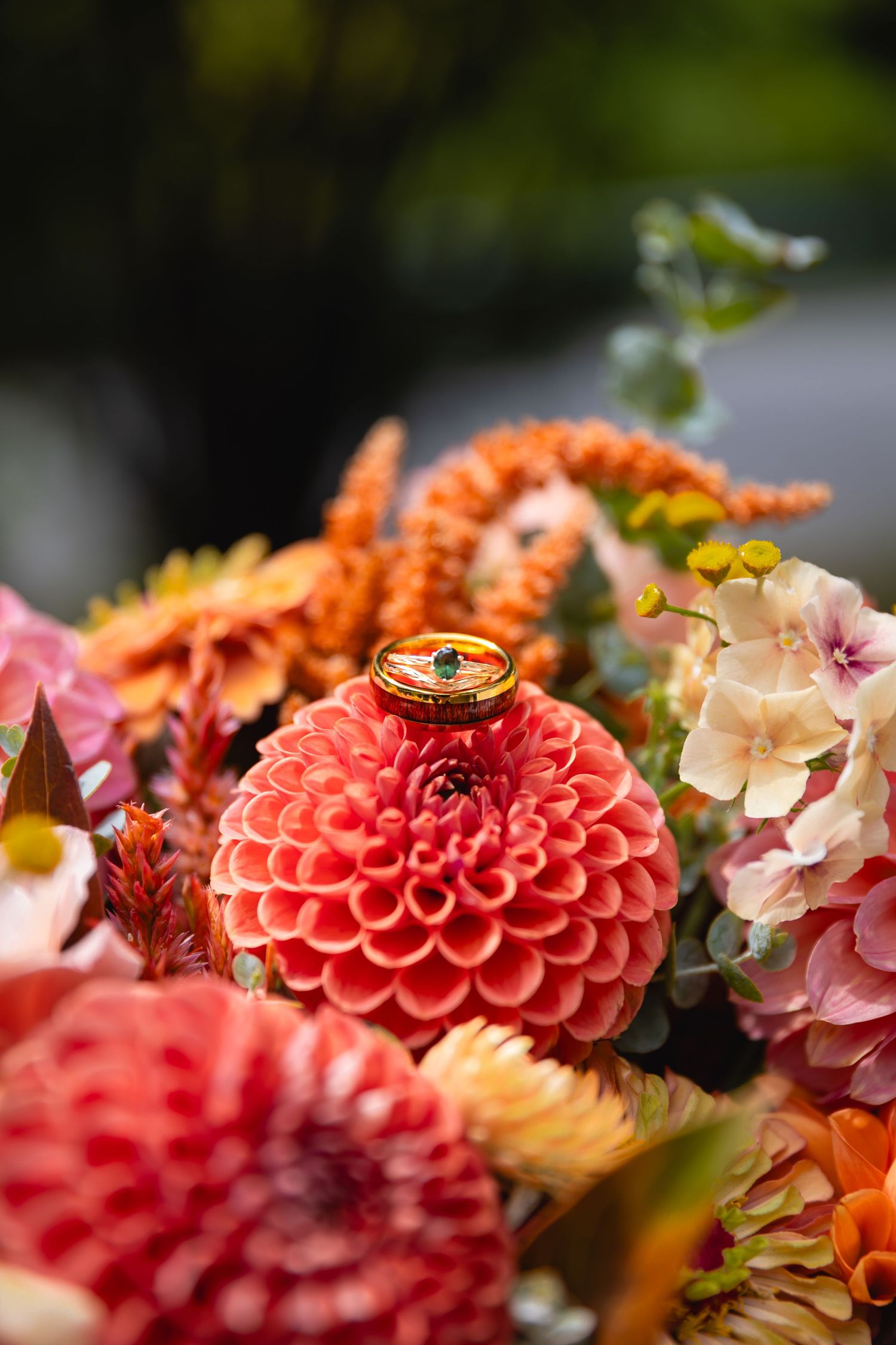 Wedding rings rest atop a vibrant coral dahlia flower in a colorful autumn floral arrangement.