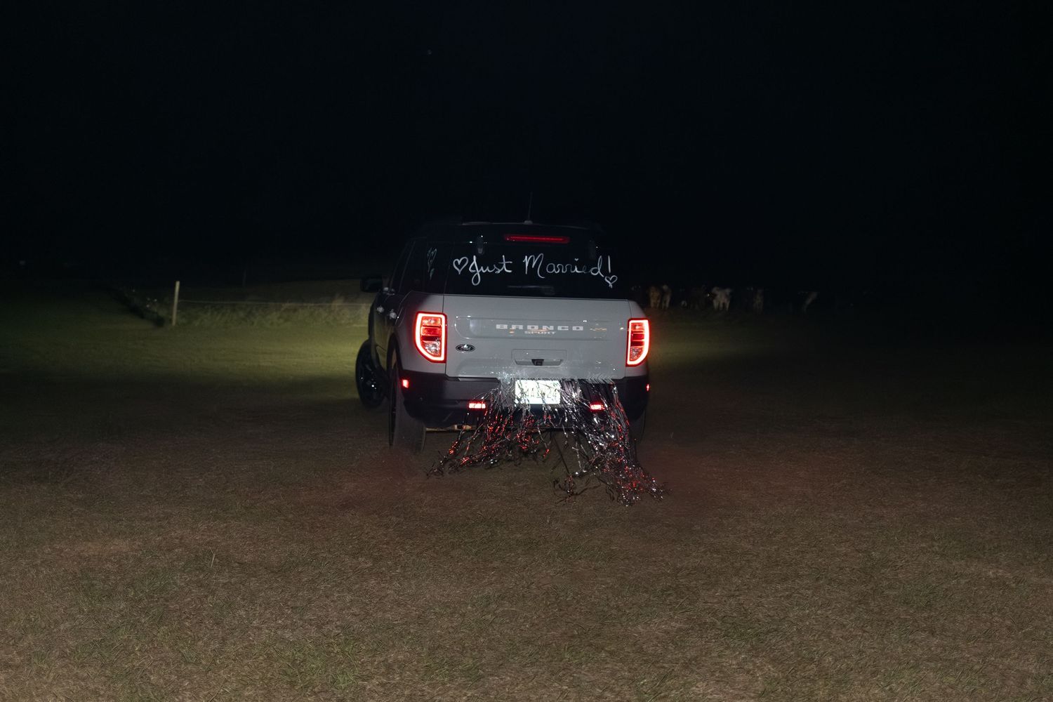 Newlywed couple making a grand exit at Dalrymple Farms Enterprise, Alabama