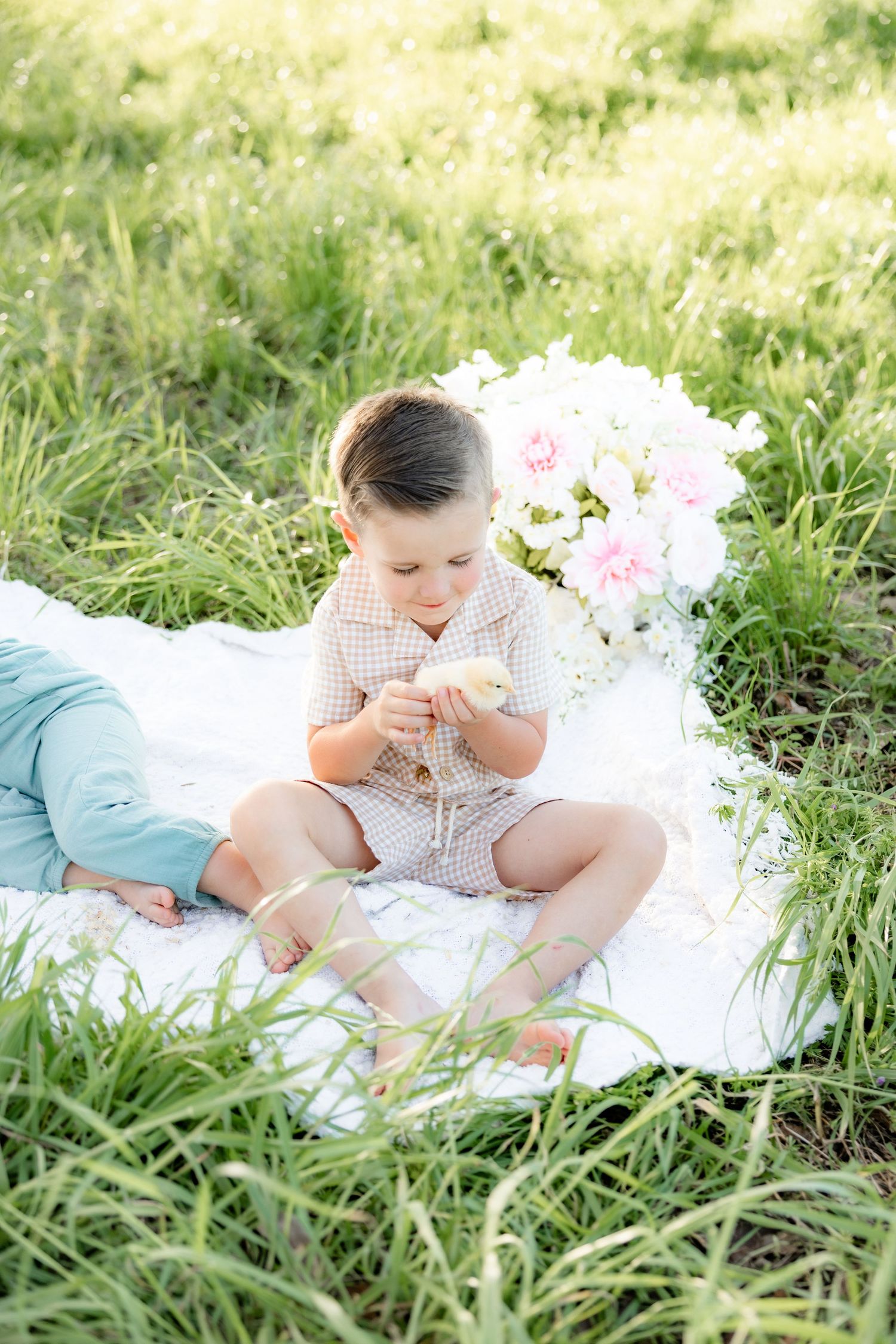 Spring Mini Session with baby chicks in a grass field at sunset near Dothan, Alabama