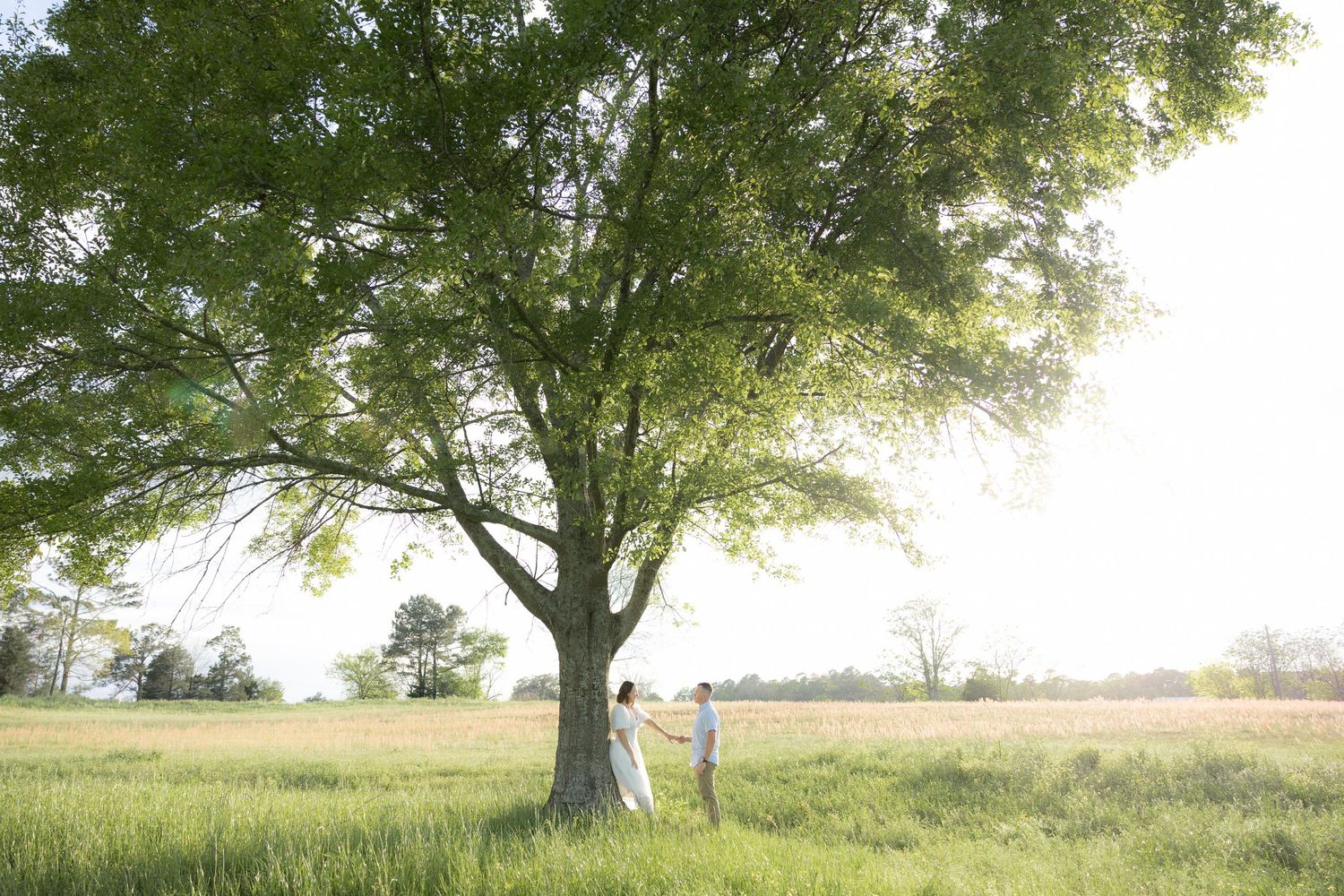 Romantic storybook couple photos in a grass field at sunset near Dothan, Alabama