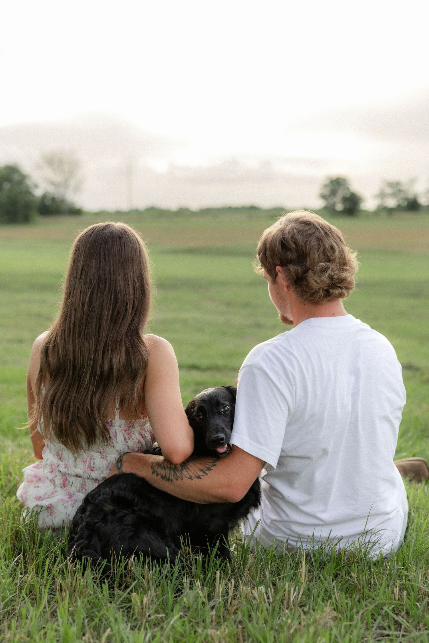 Romantic couple photos in a natural grass field setting with large trees at sunset.