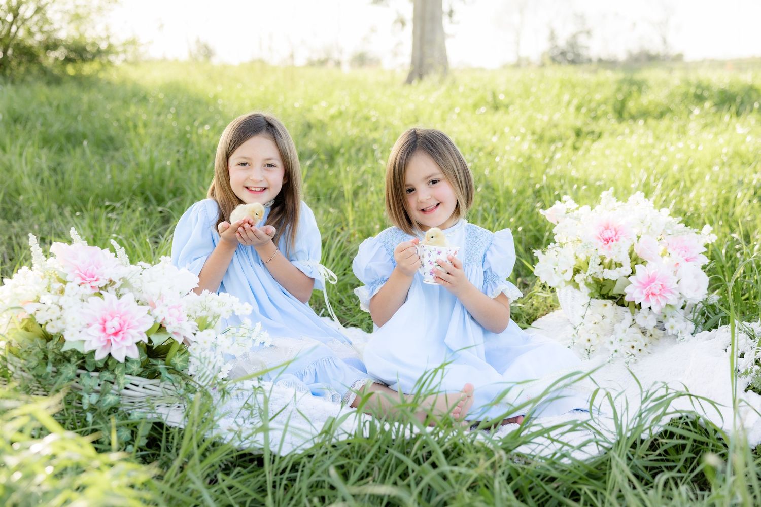 Spring Mini Session with baby chicks in a grass field at sunset near Dothan, Alabama