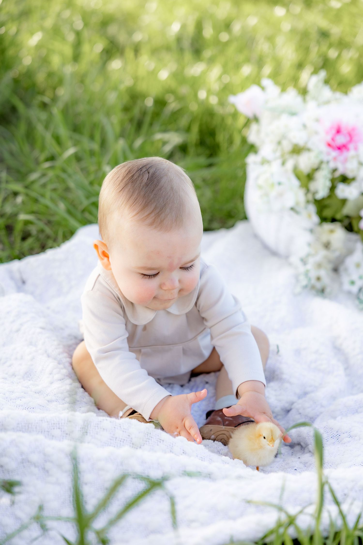 Spring Mini Session with baby chicks in a grass field at sunset near Dothan, Alabama