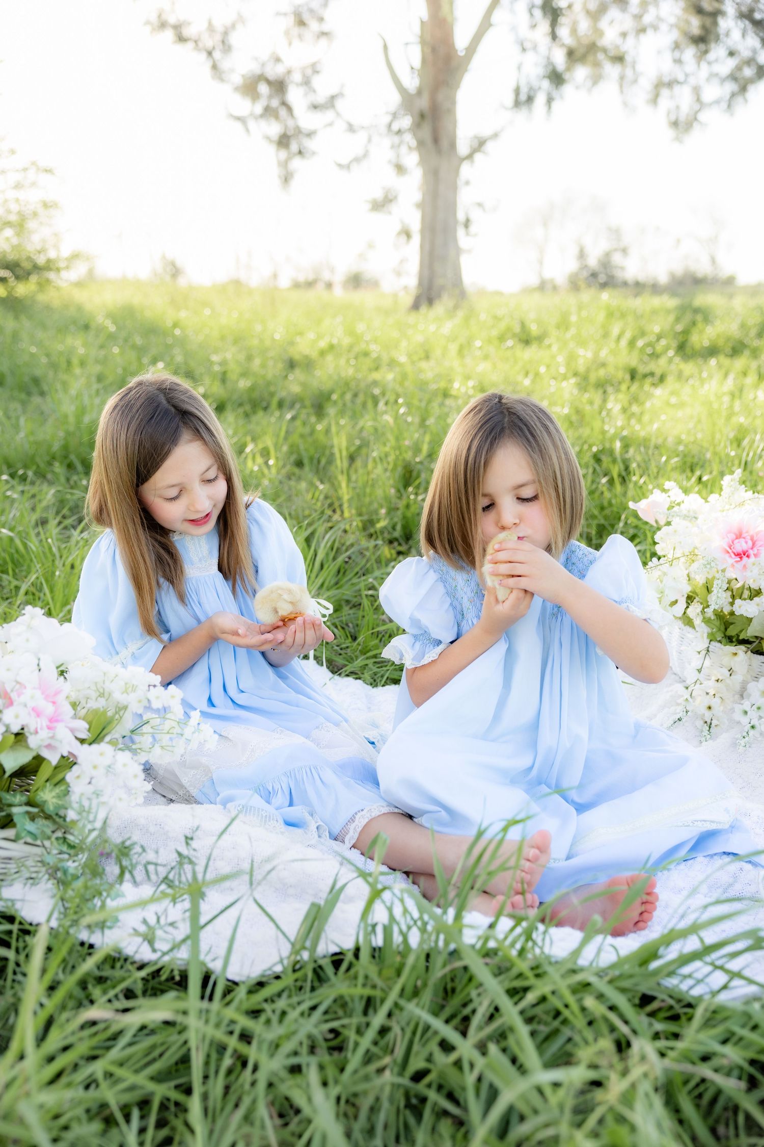 Spring Mini Session with baby chicks in a grass field at sunset near Dothan, Alabama