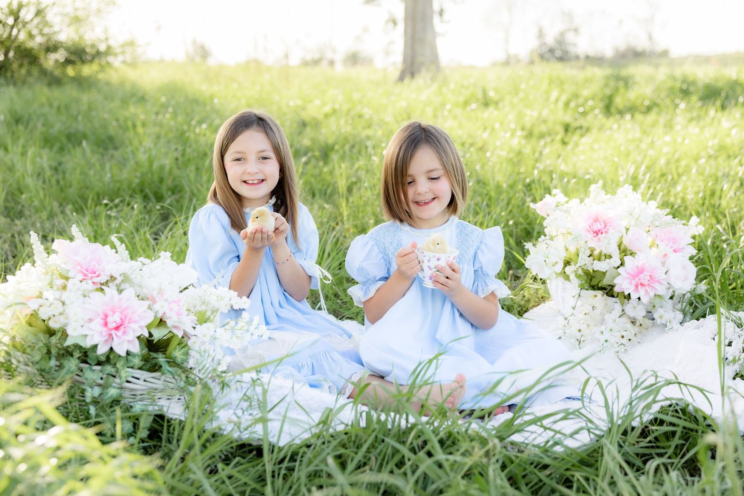 Spring Mini Session with baby chicks in a grass field at sunset near Dothan, Alabama