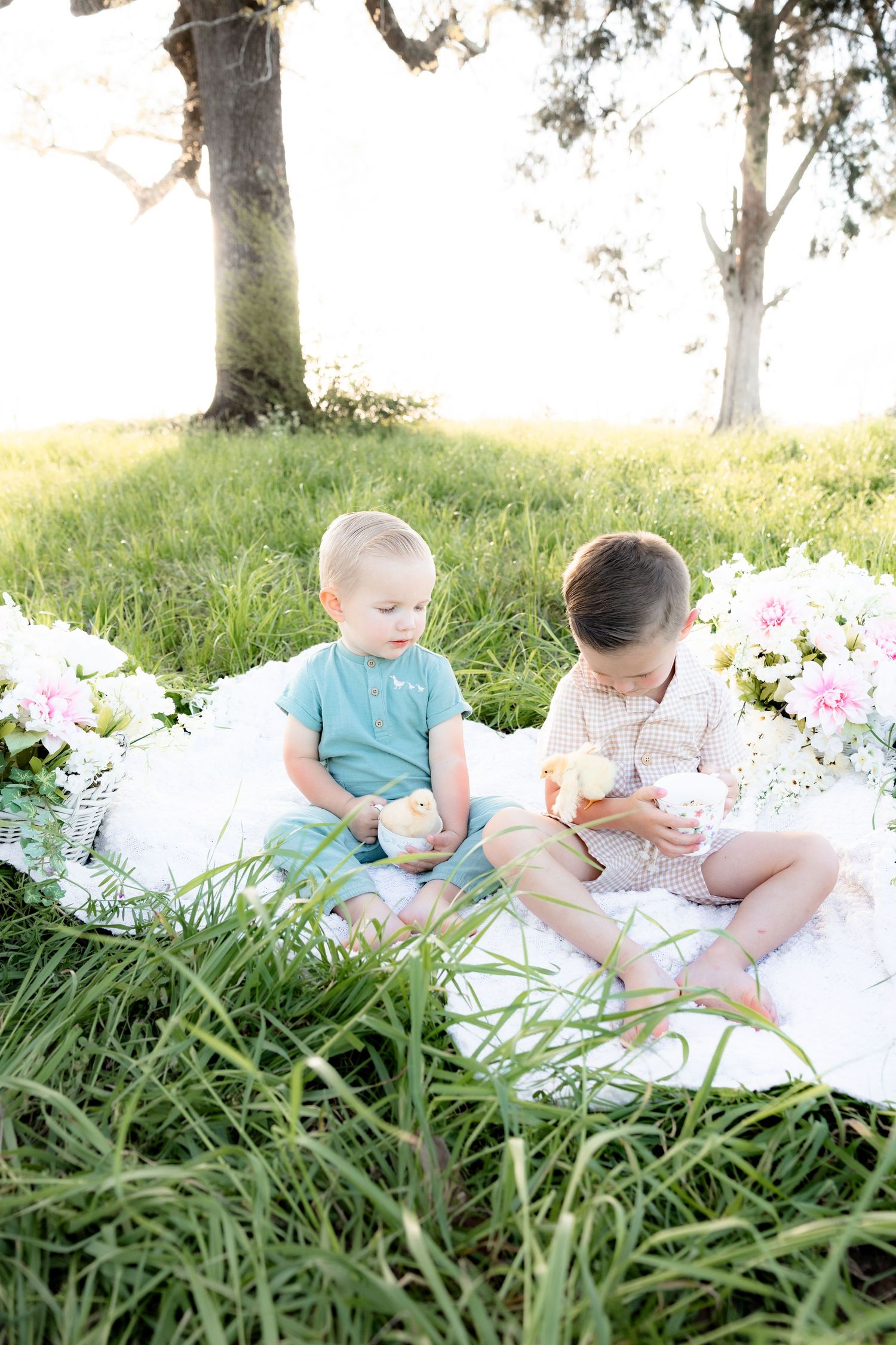 Spring Mini Session with baby chicks in a grass field at sunset near Dothan, Alabama