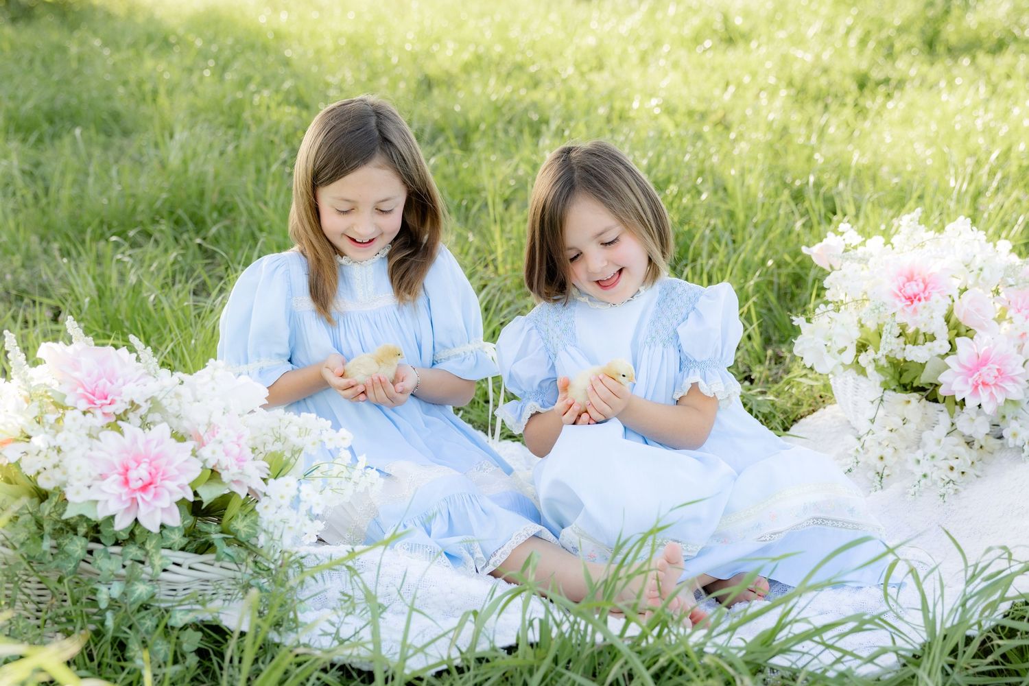 Spring Mini Session with baby chicks in a grass field at sunset near Dothan, Alabama