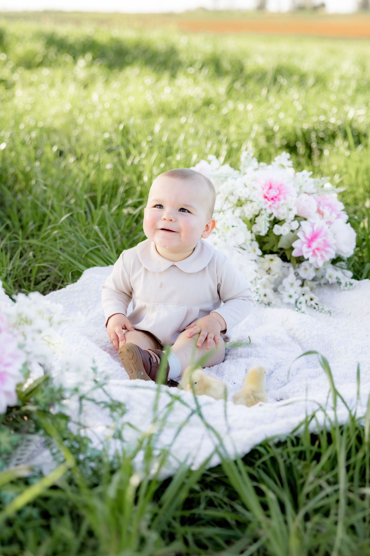 Spring Mini Session with baby chicks in a grass field at sunset near Dothan, Alabama