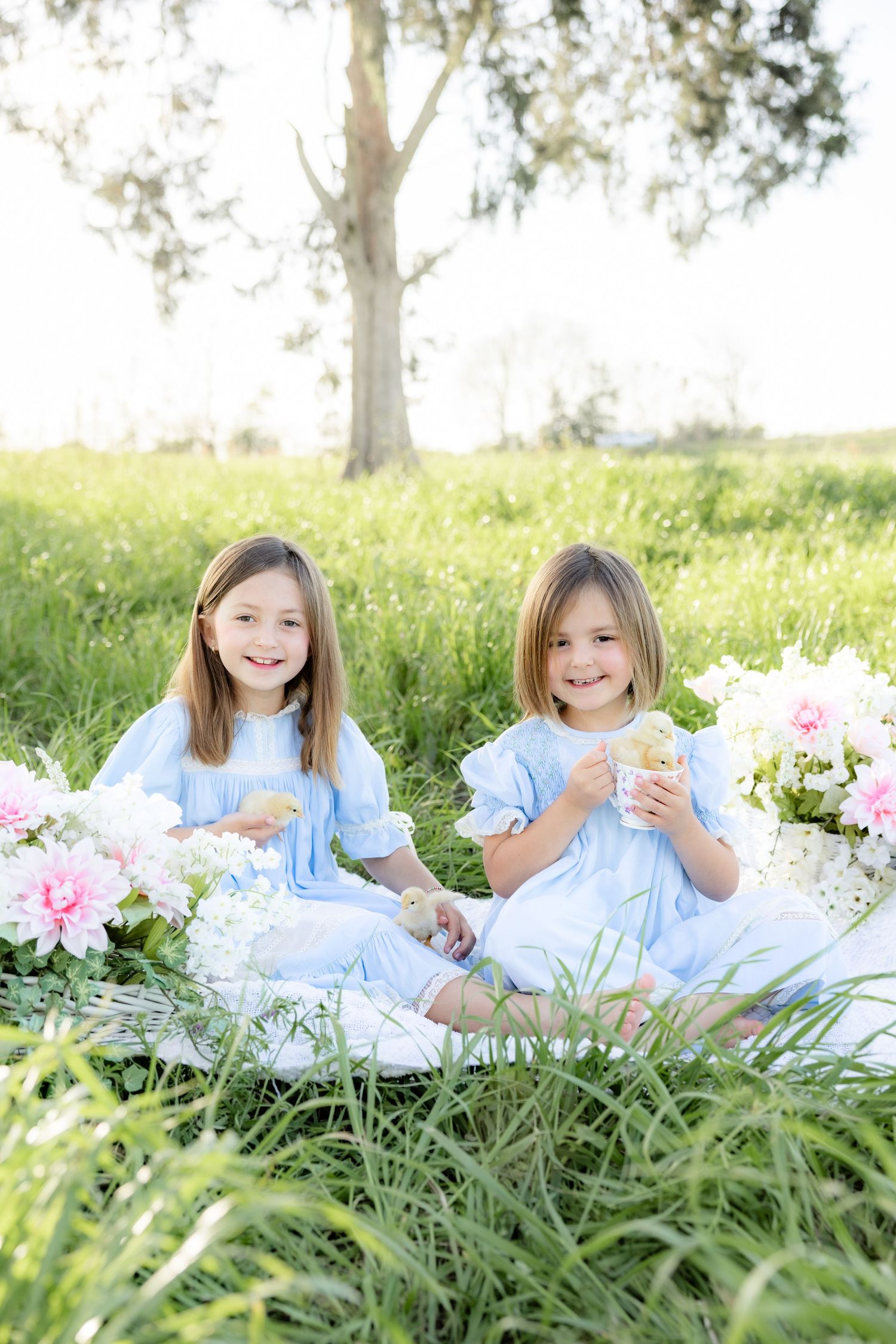 Spring mini session in a tall grass field with baby chicks at sunset