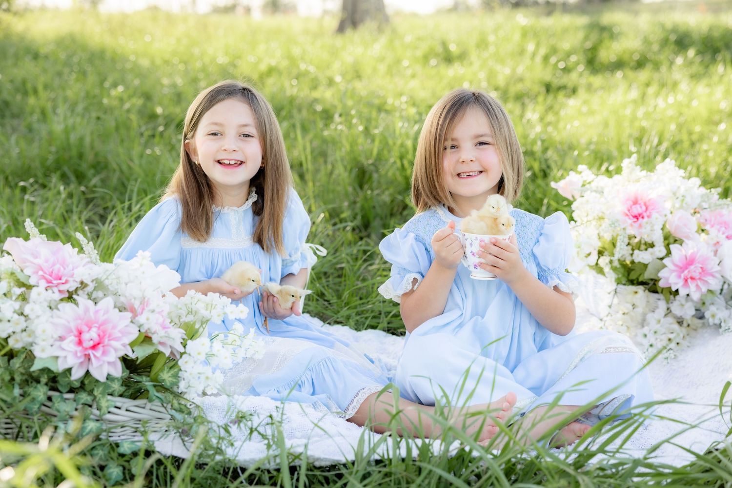Spring Mini Session with baby chicks in a grass field at sunset near Dothan, Alabama
