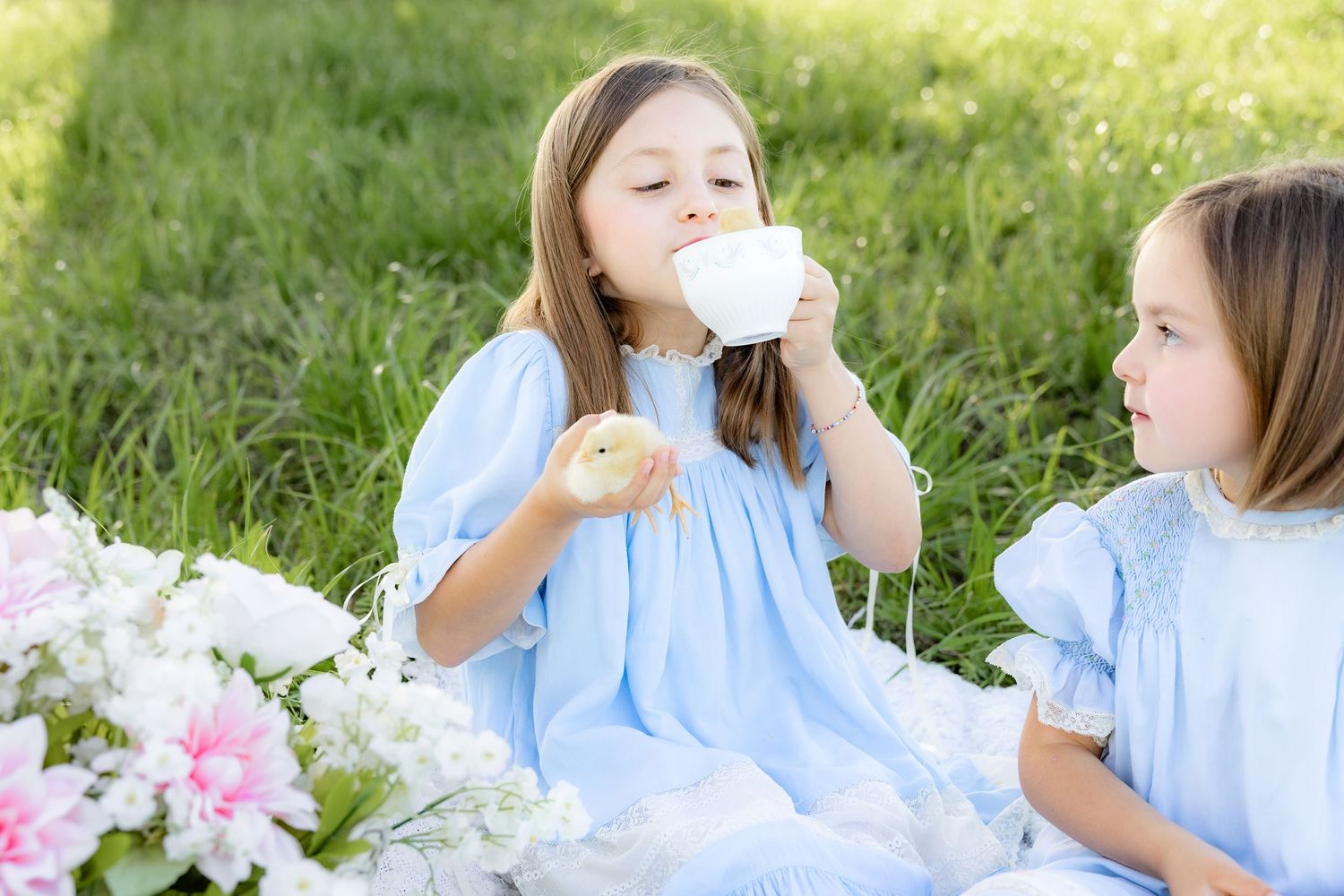 Spring Mini Session with baby chicks in a grass field at sunset near Dothan, Alabama