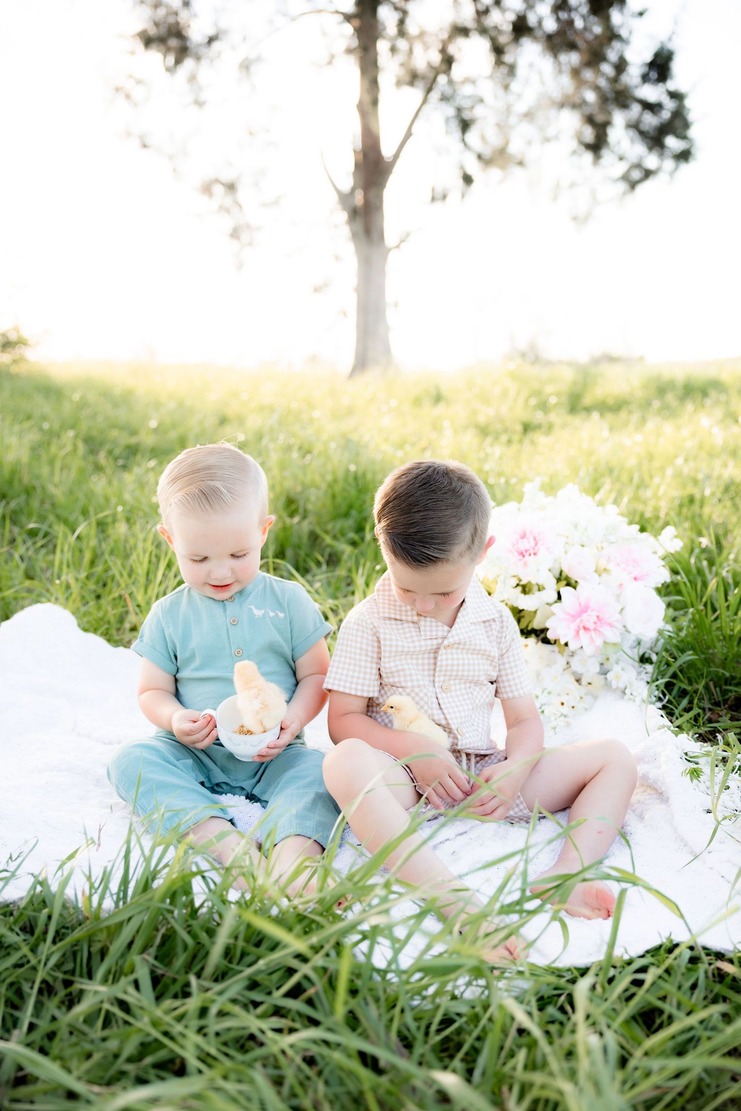 Spring Mini Session with baby chicks in a grass field at sunset near Dothan, Alabama
