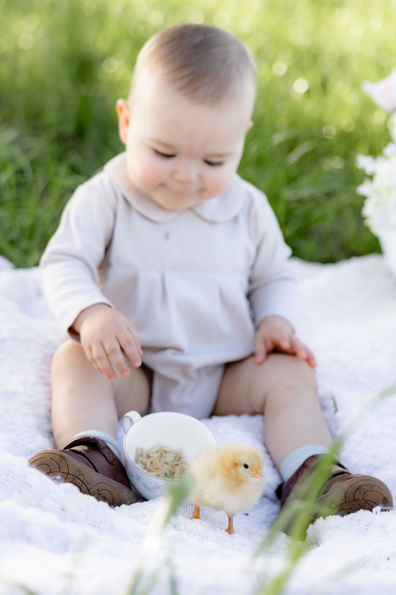Spring Mini Session with baby chicks in a grass field at sunset near Dothan, Alabama